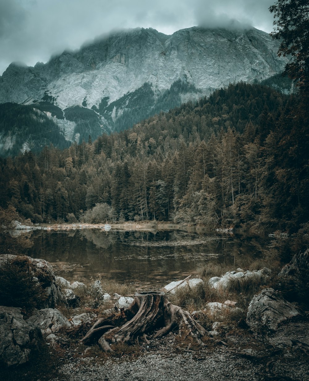 a lake surrounded by trees with a mountain in the background