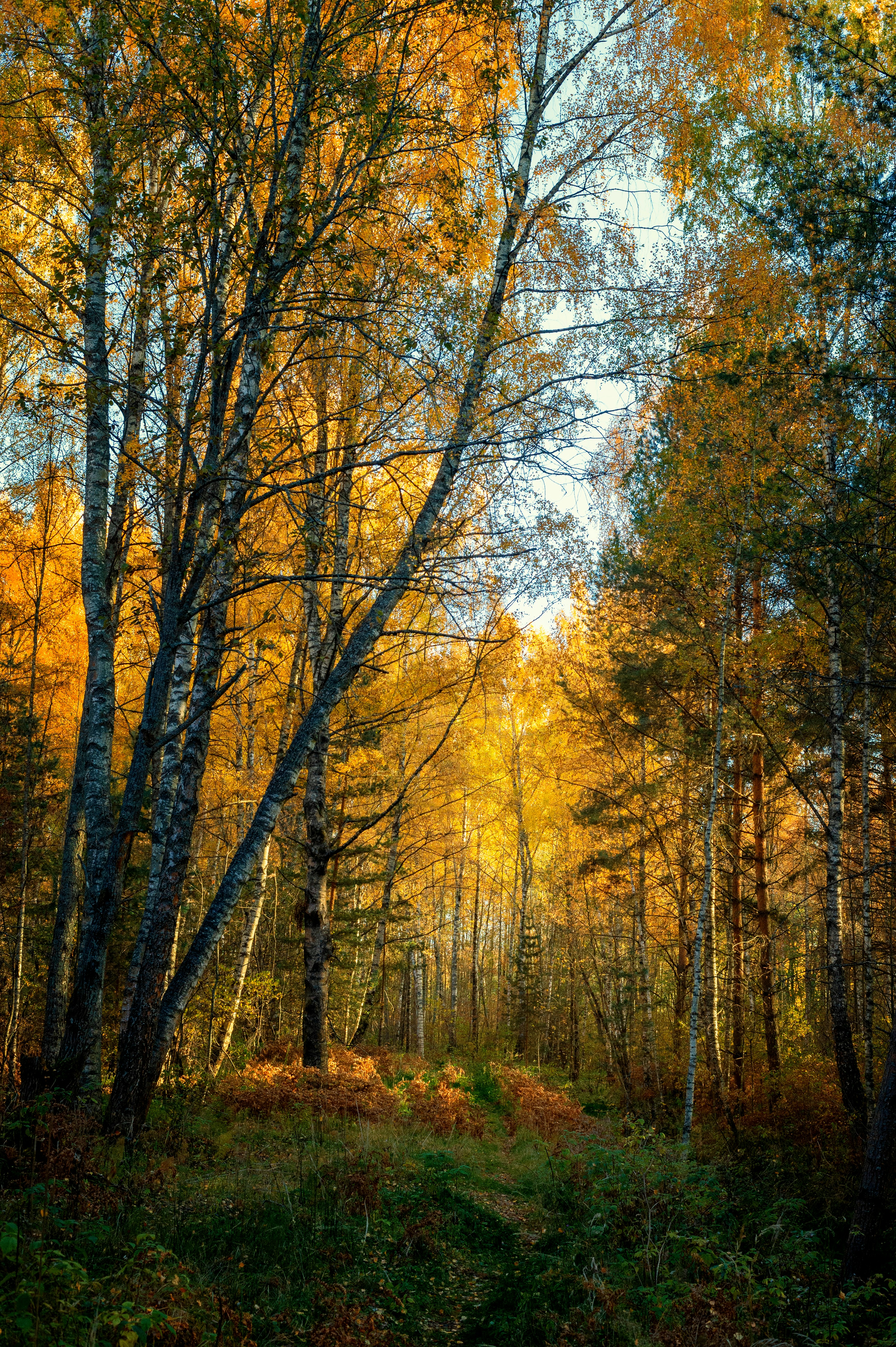 Photo by evil_bumblebee