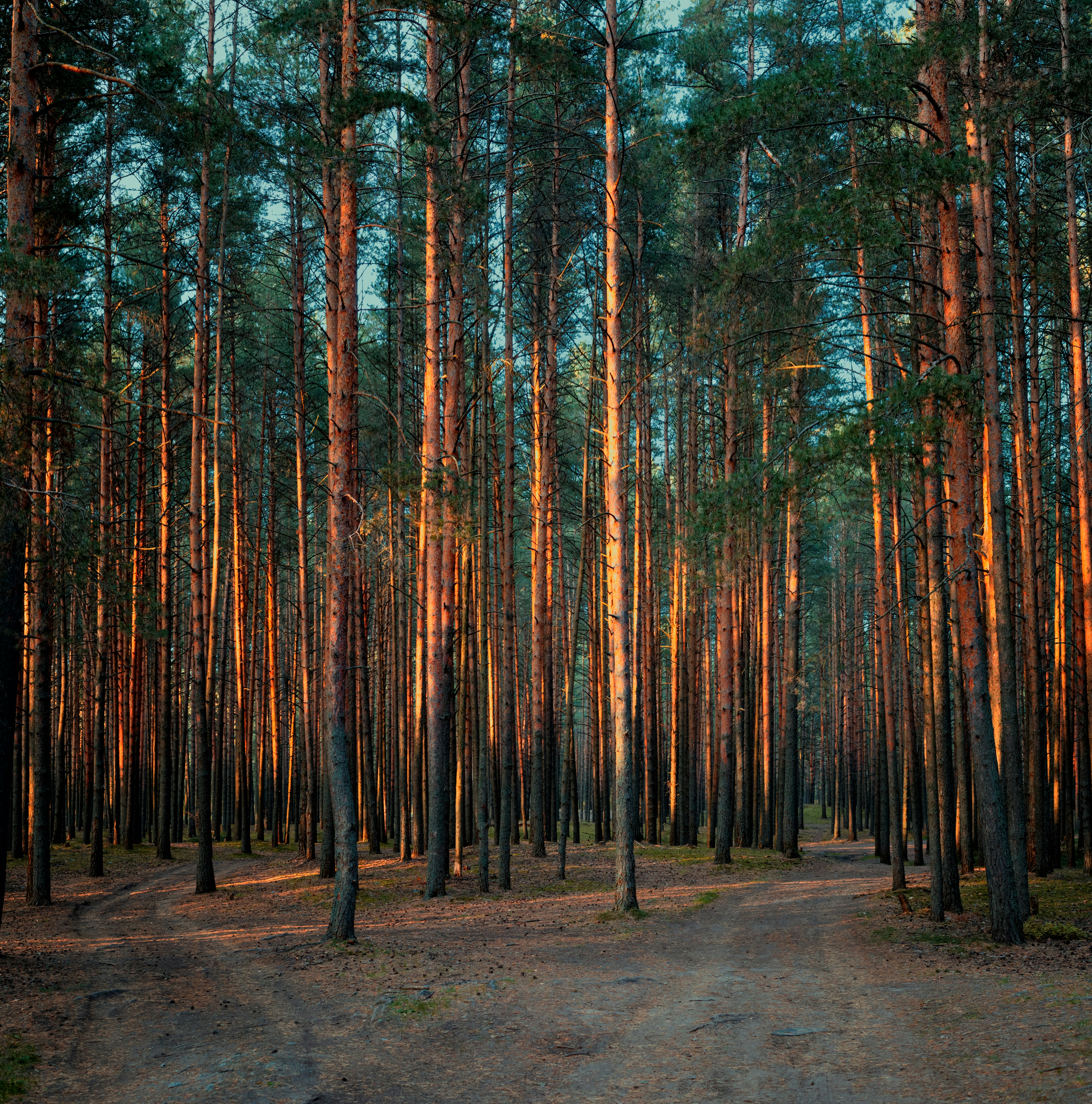 Photo by evil_bumblebee