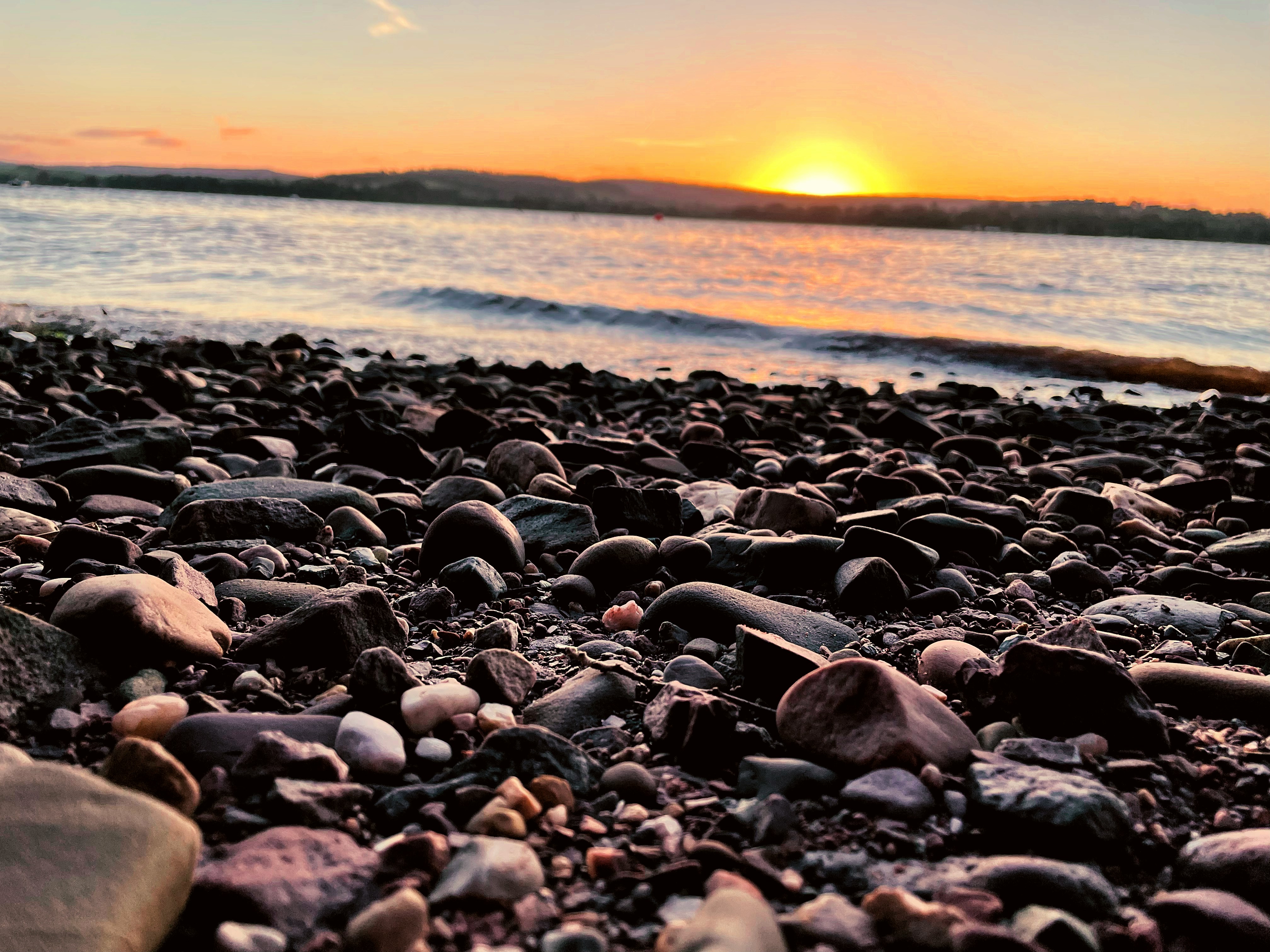 Best Tide Pools Near Everett WA for Kids to Explore