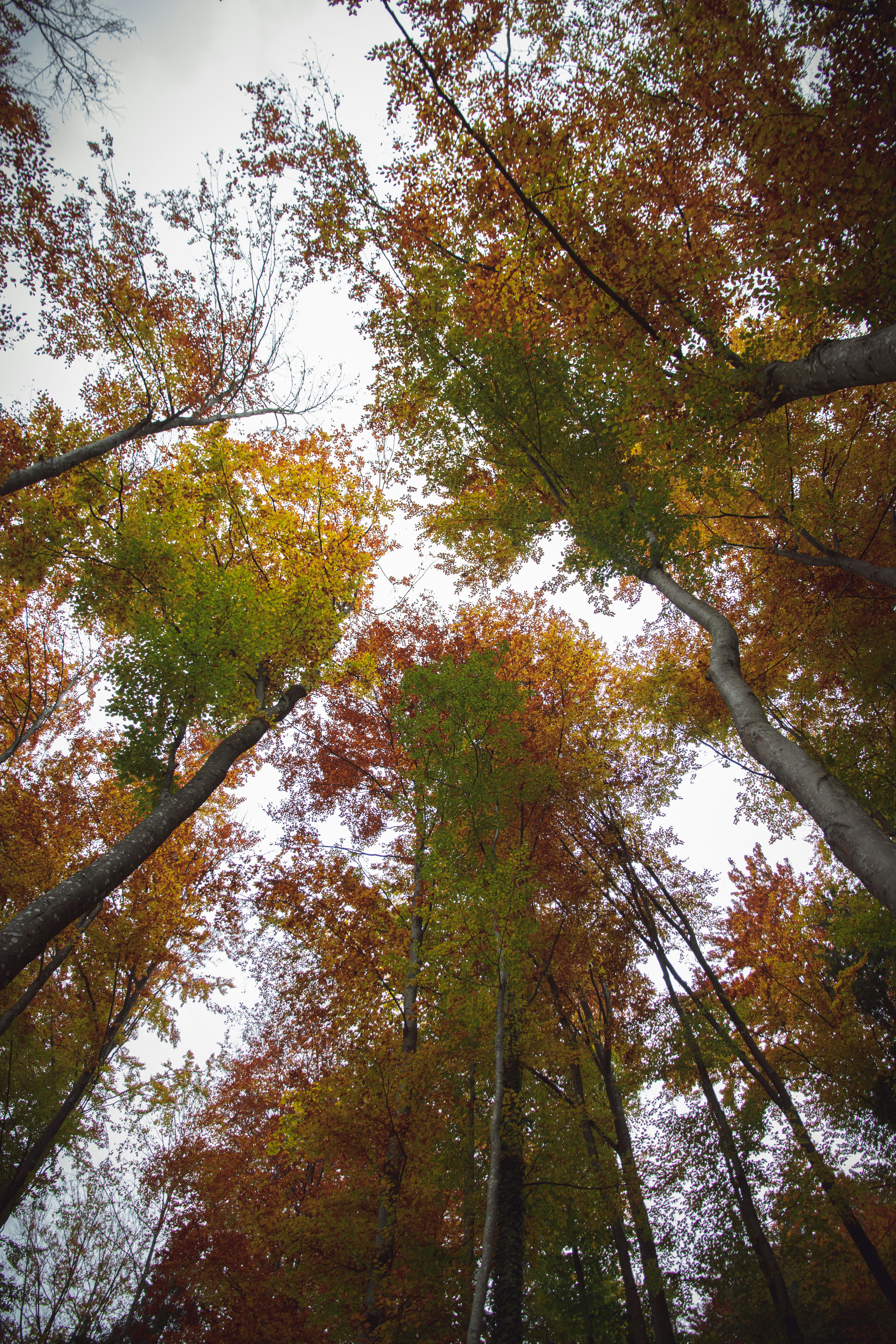 Photo by joachim_pressl