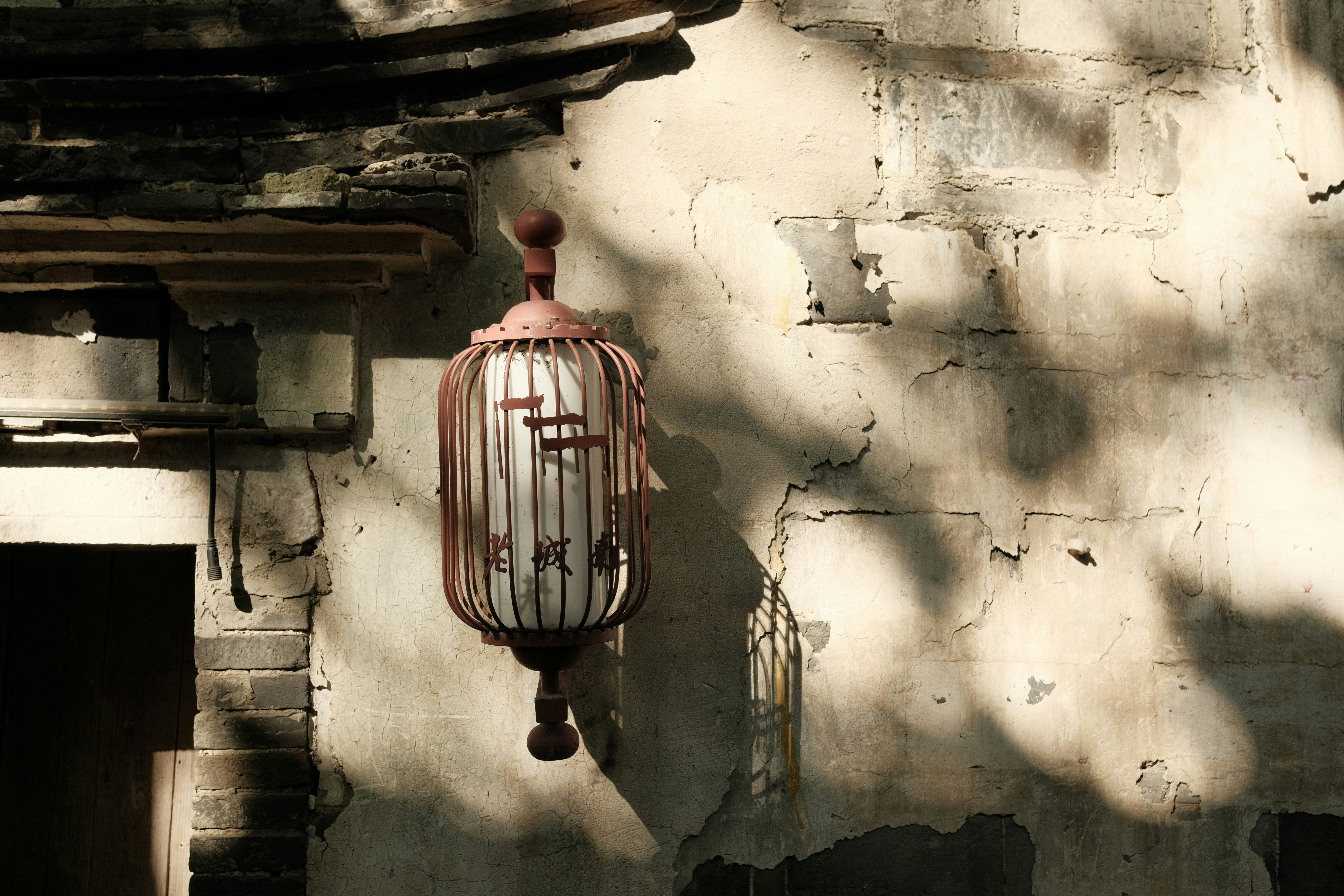 Photo by chriszhang0806