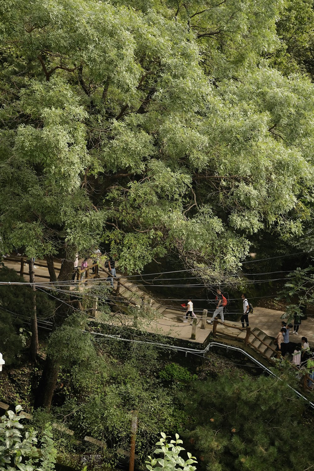 a group of people walking across a bridge over a river