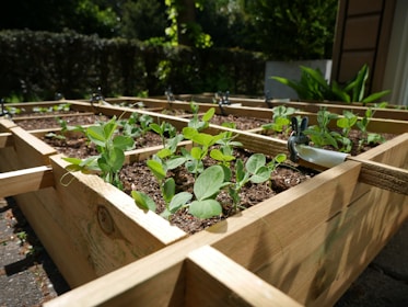 a wooden box filled with lots of plants