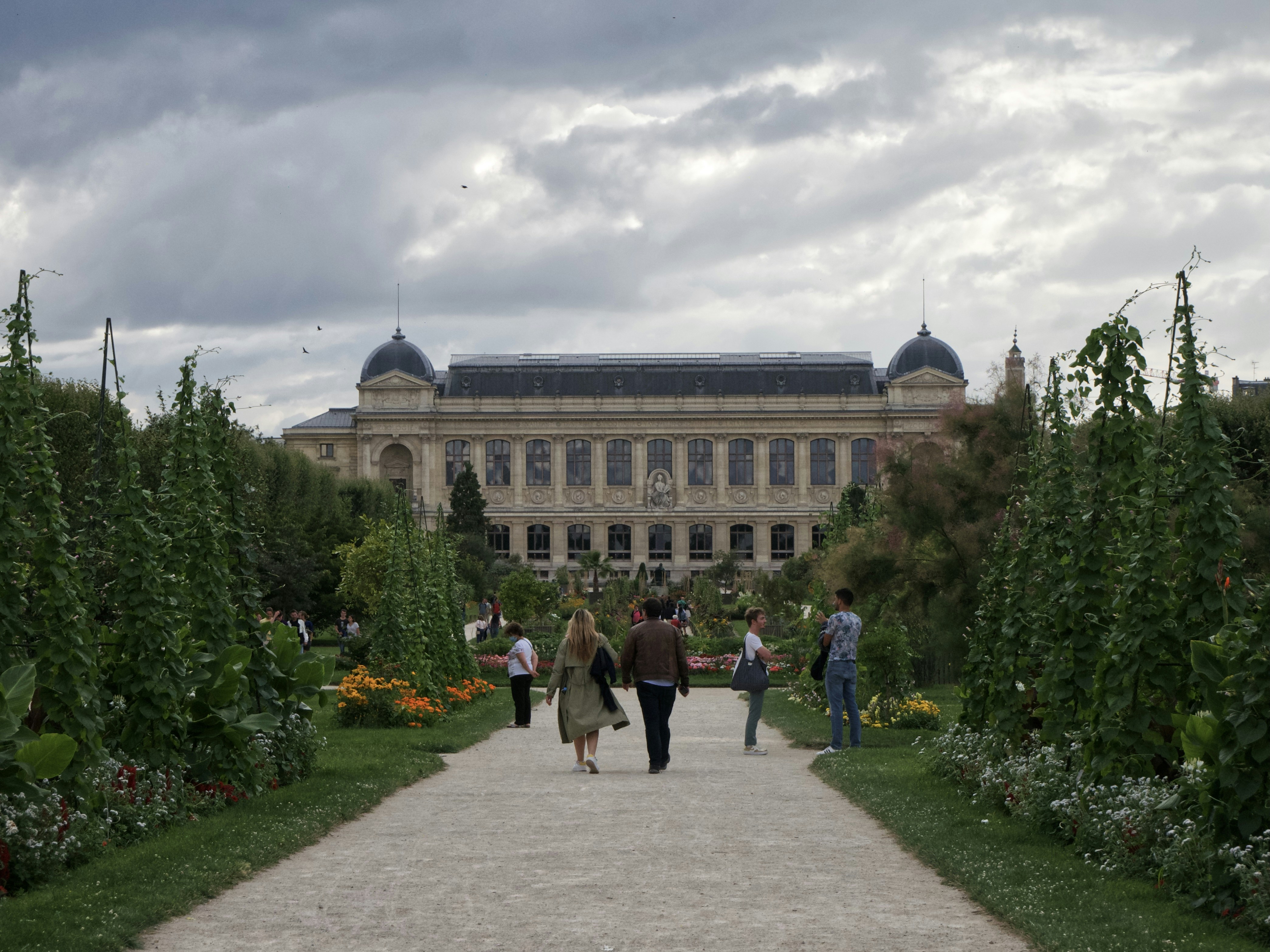 A pathway took in the plant garden in Paris
