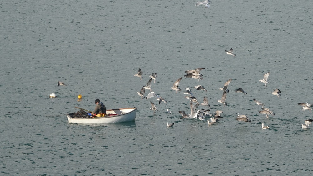 a flock of birds flying over a boat in the water