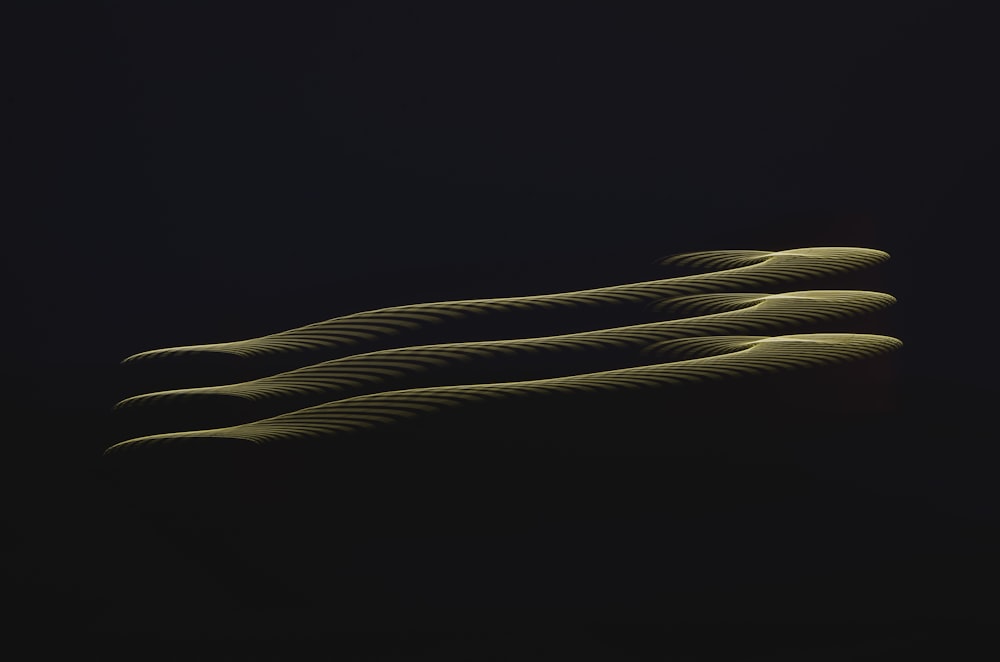 a group of wavy lines in the dark