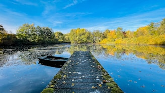 A peaceful lake reflecting autumn foliage with a small dock and boat tied up.