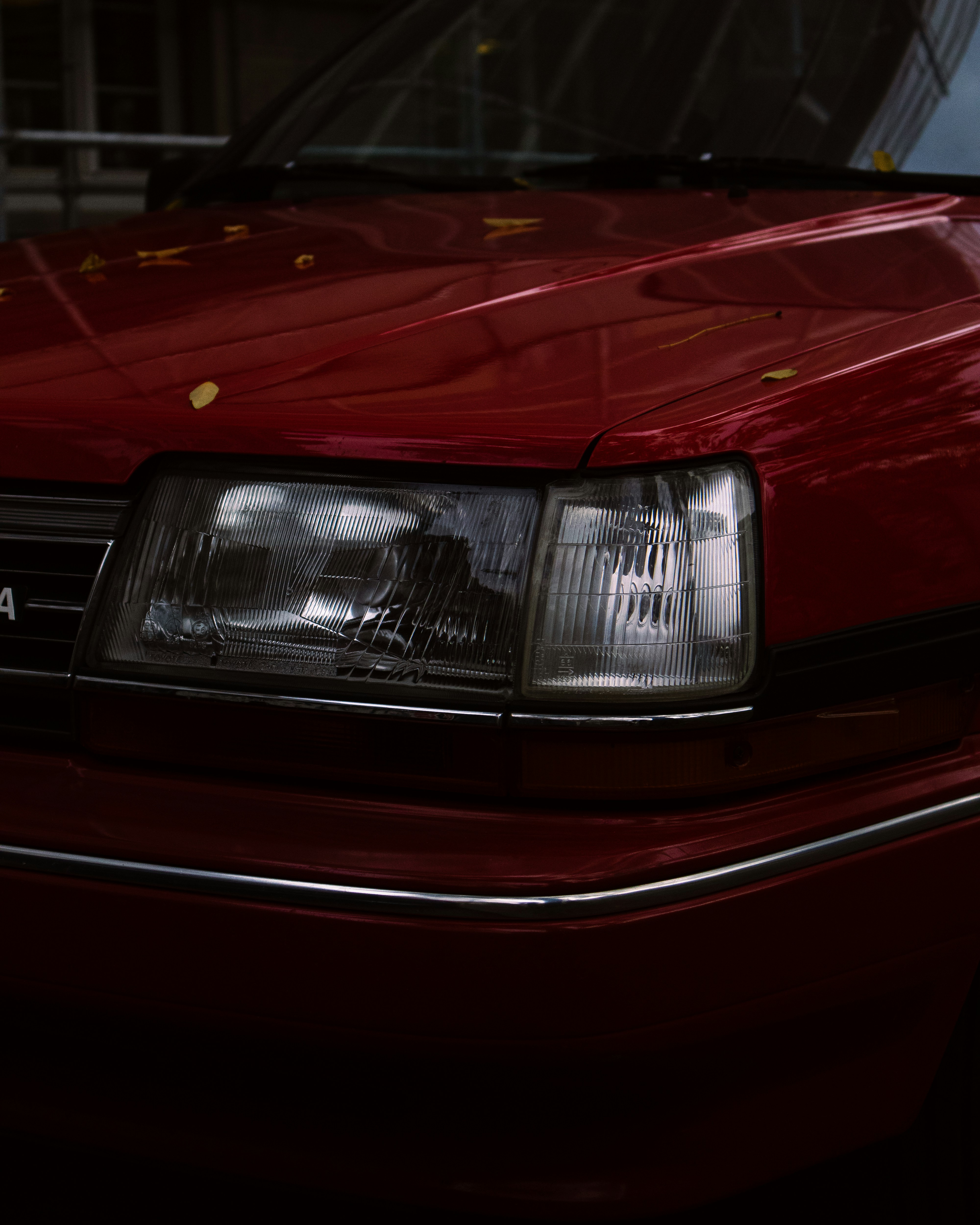 Photo by 100millione