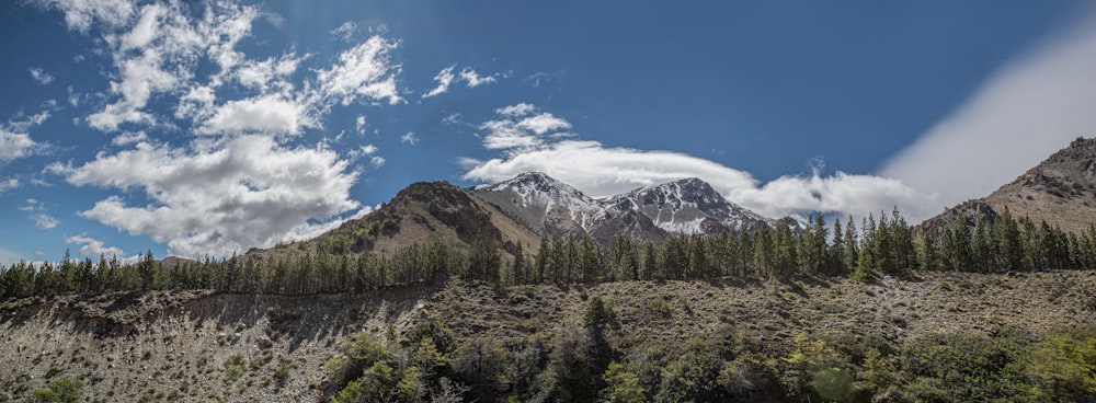 a mountain range with trees and clouds in the background