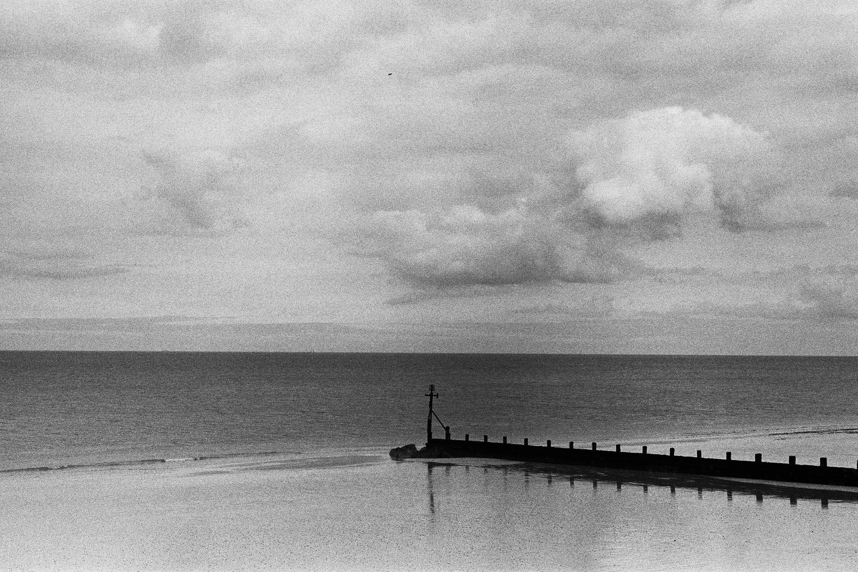 Photo by homagephotos