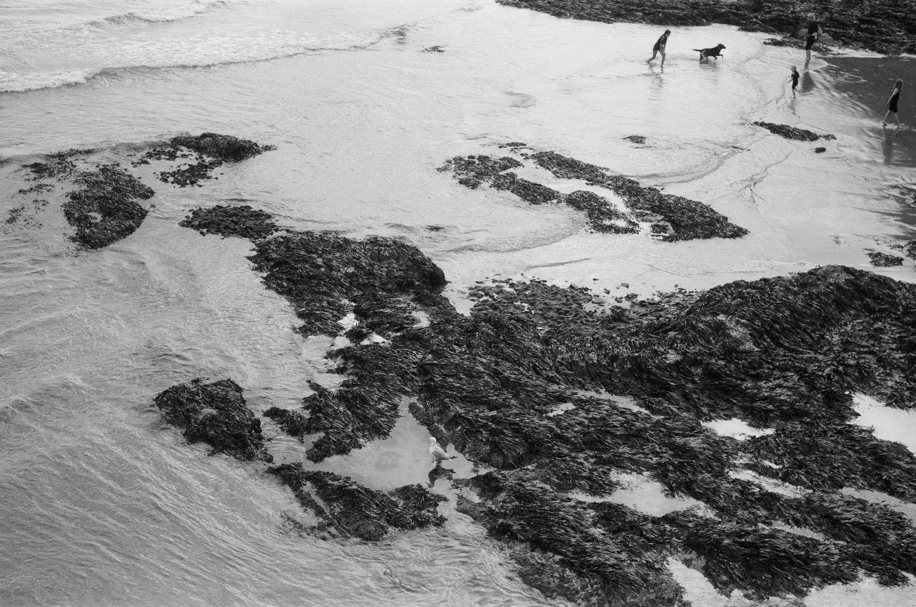 Photo by homagephotos