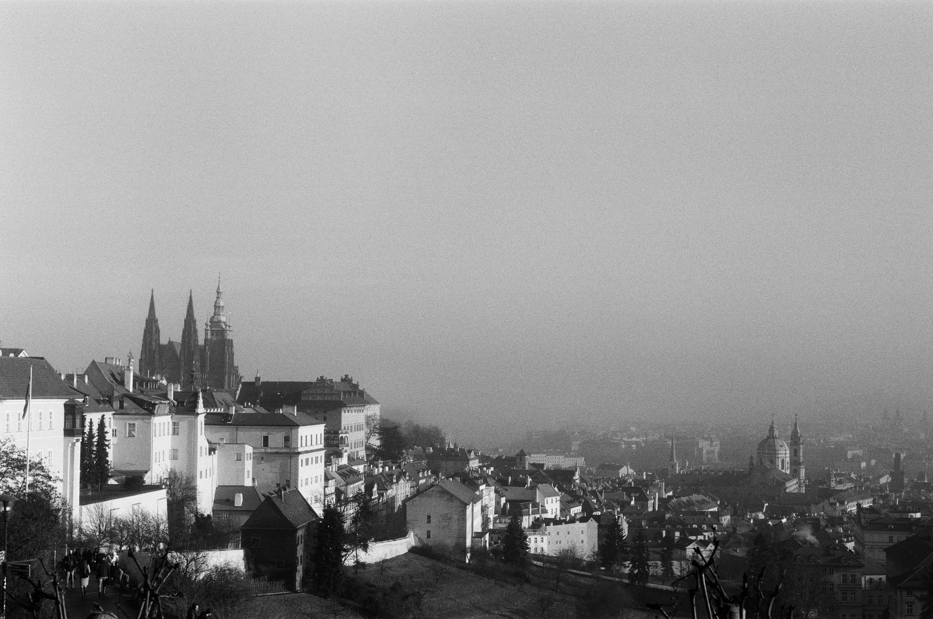 Photo by homagephotos