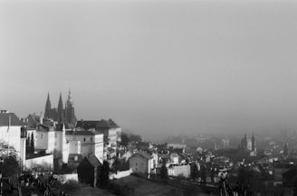 A cityscape in black and white captures the broad view of architectural structures. Pointed spires, possibly from a cathedral, rise prominently on the left, surrounded by other historical buildings. The scene is enveloped in a light mist or fog, lending a soft and atmospheric quality to the urban landscape.
