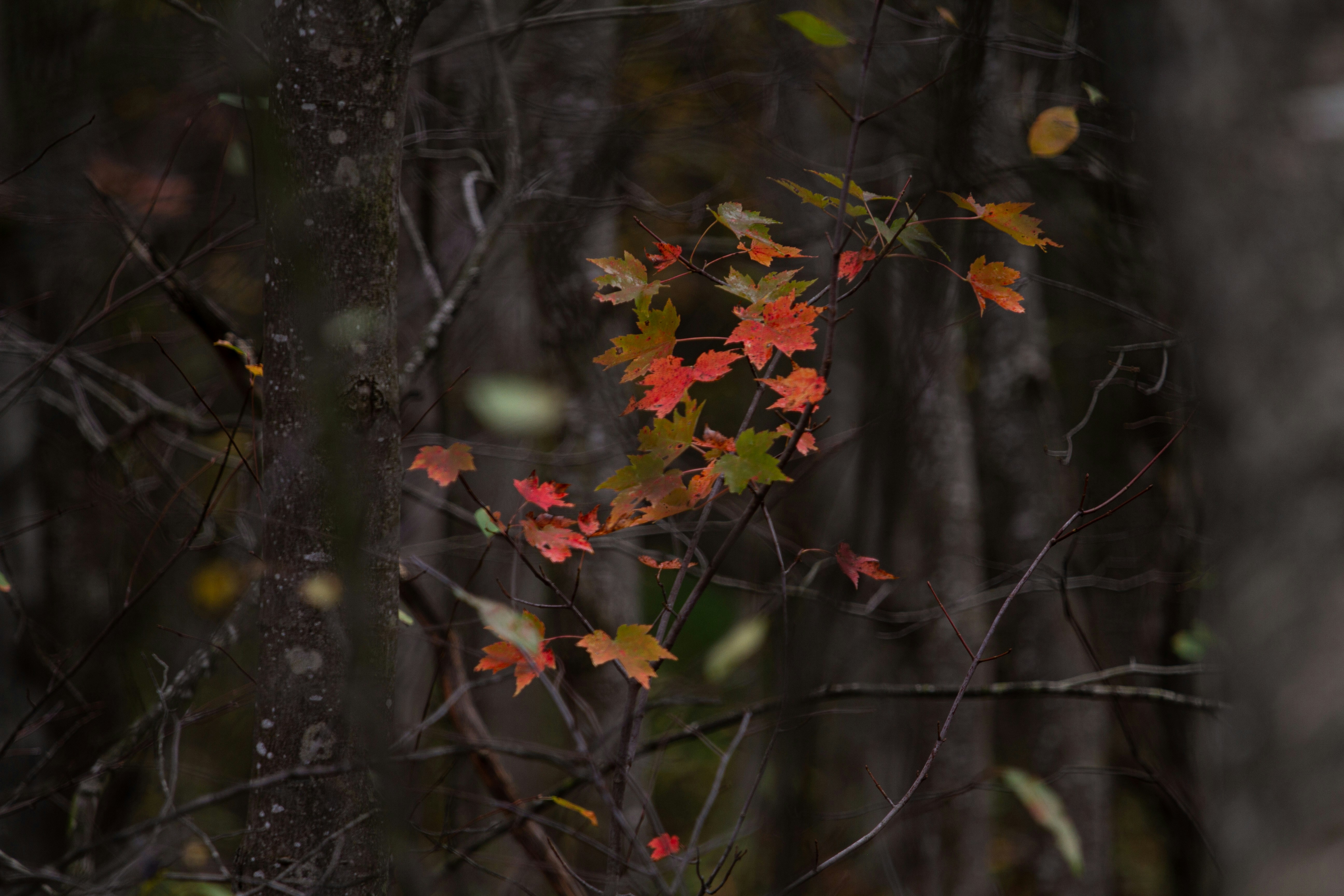 Photo by dreareidphotography