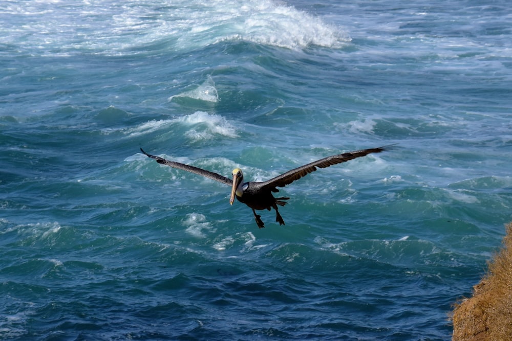 a bird flying over the ocean with its wings spread