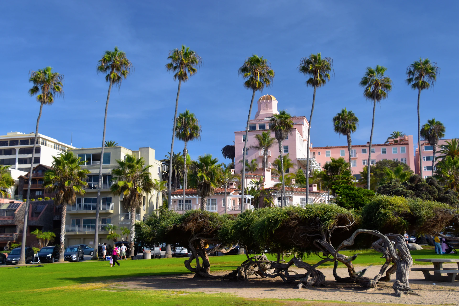 a park with palm trees and a building in the background