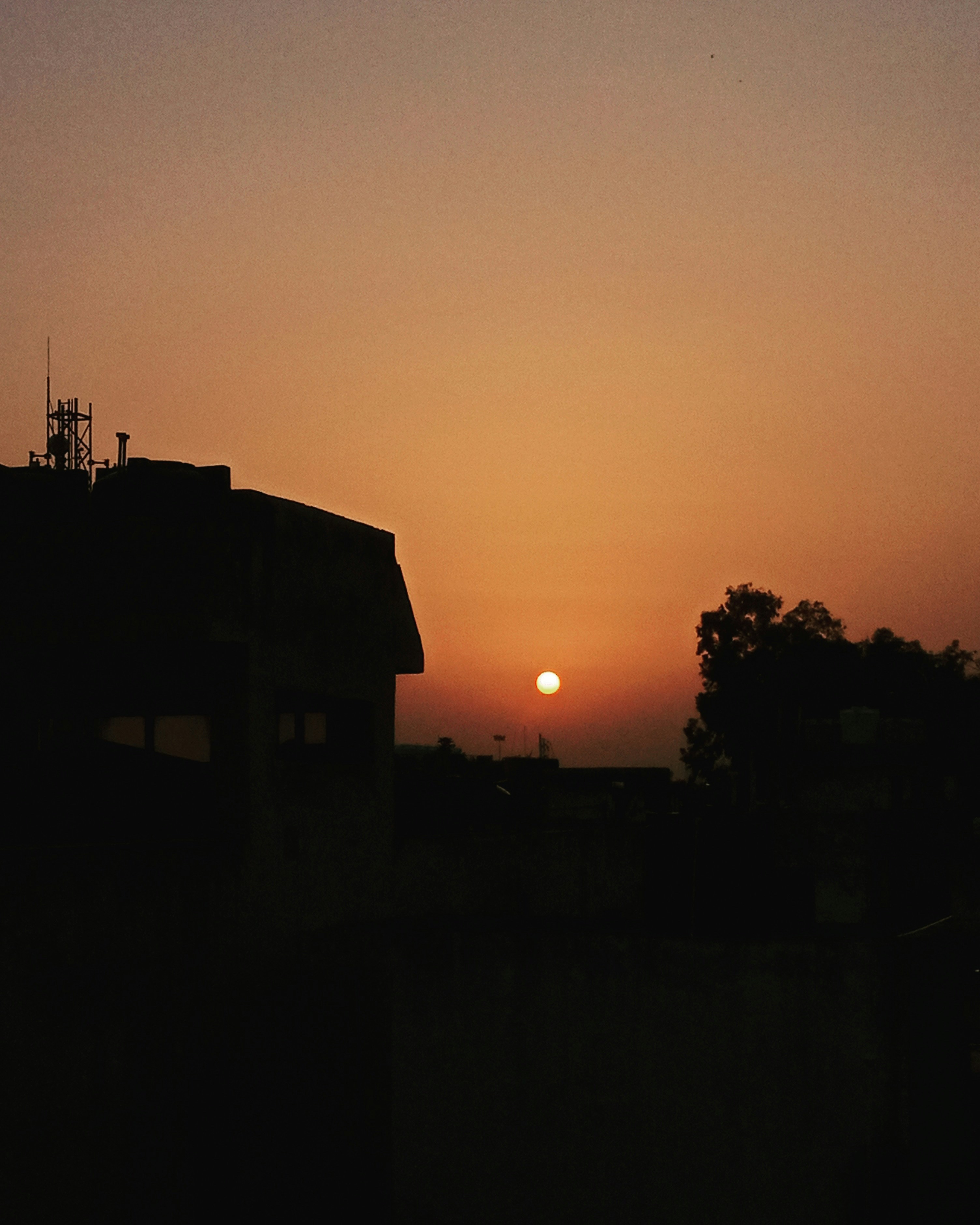 Photo by sillymisscurly