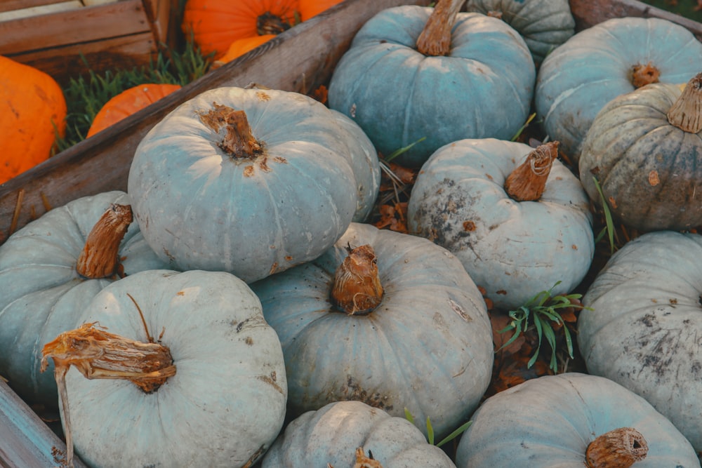 a wooden crate filled with lots of blue pumpkins