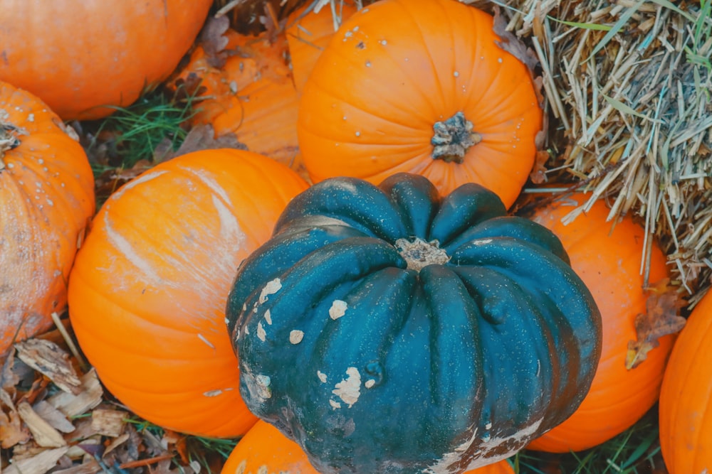 un tas de citrouilles qui sont assises dans l’herbe