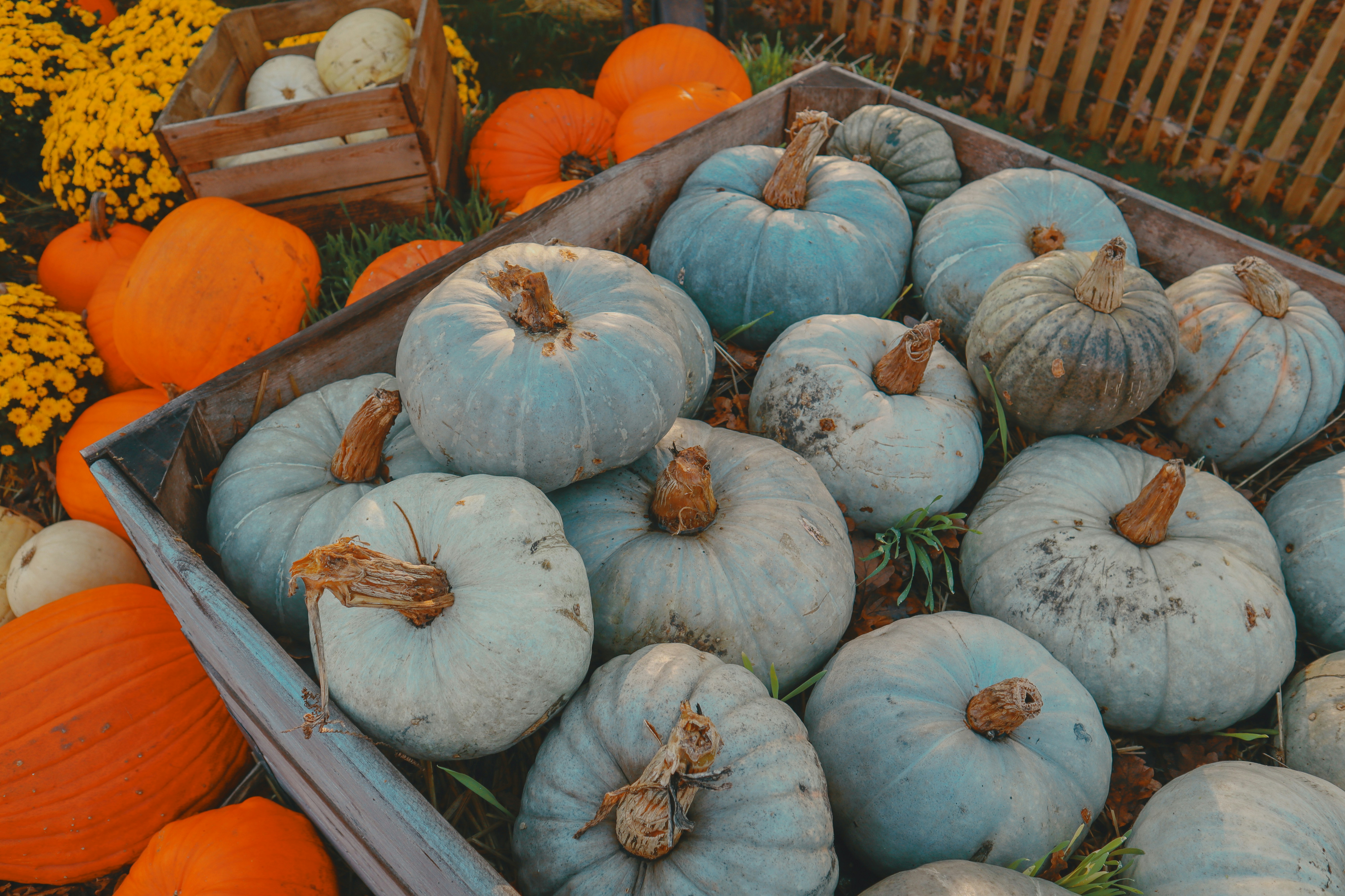 Photo by taylaktictac