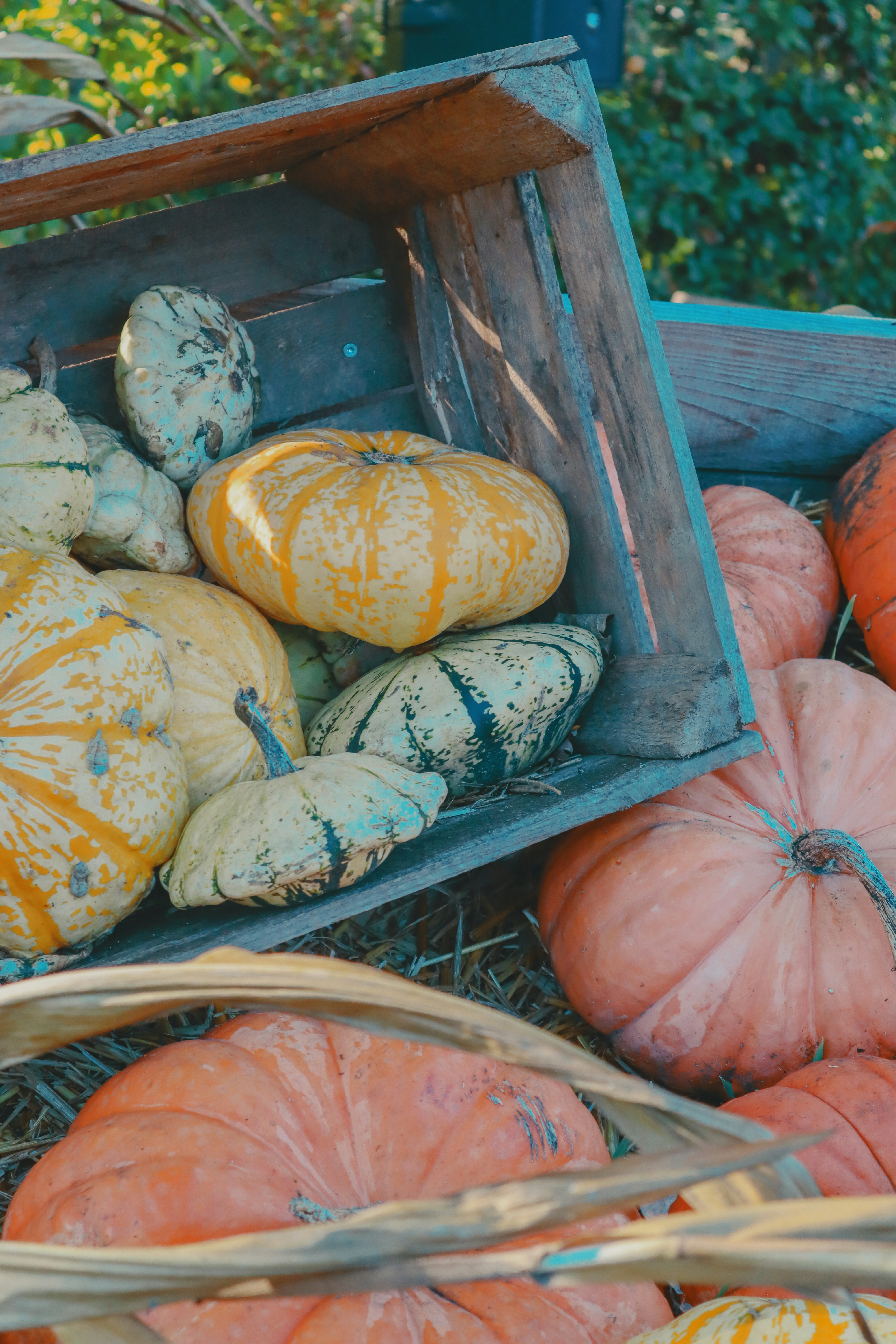 Photo by taylaktictac