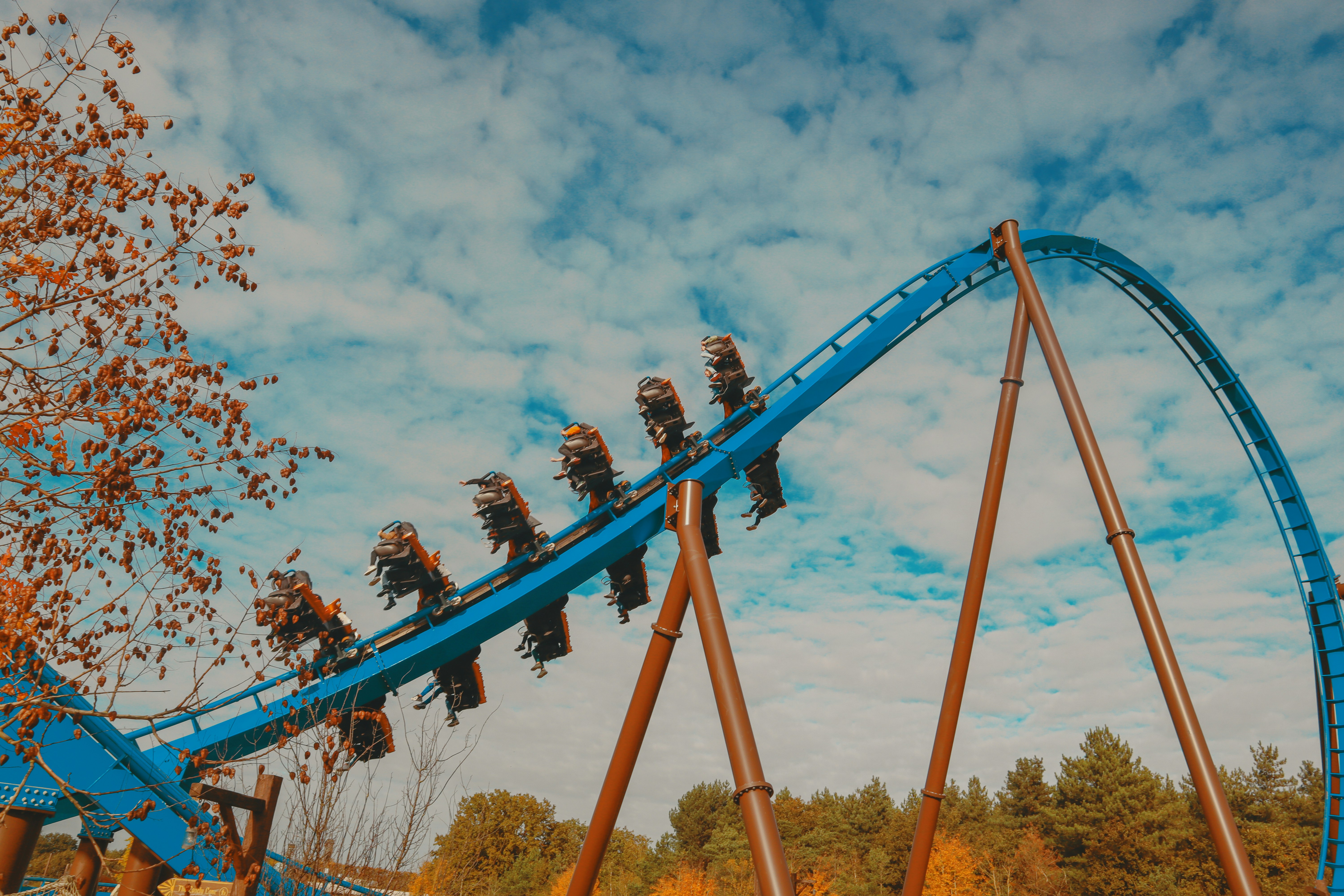 Photo by taylaktictac