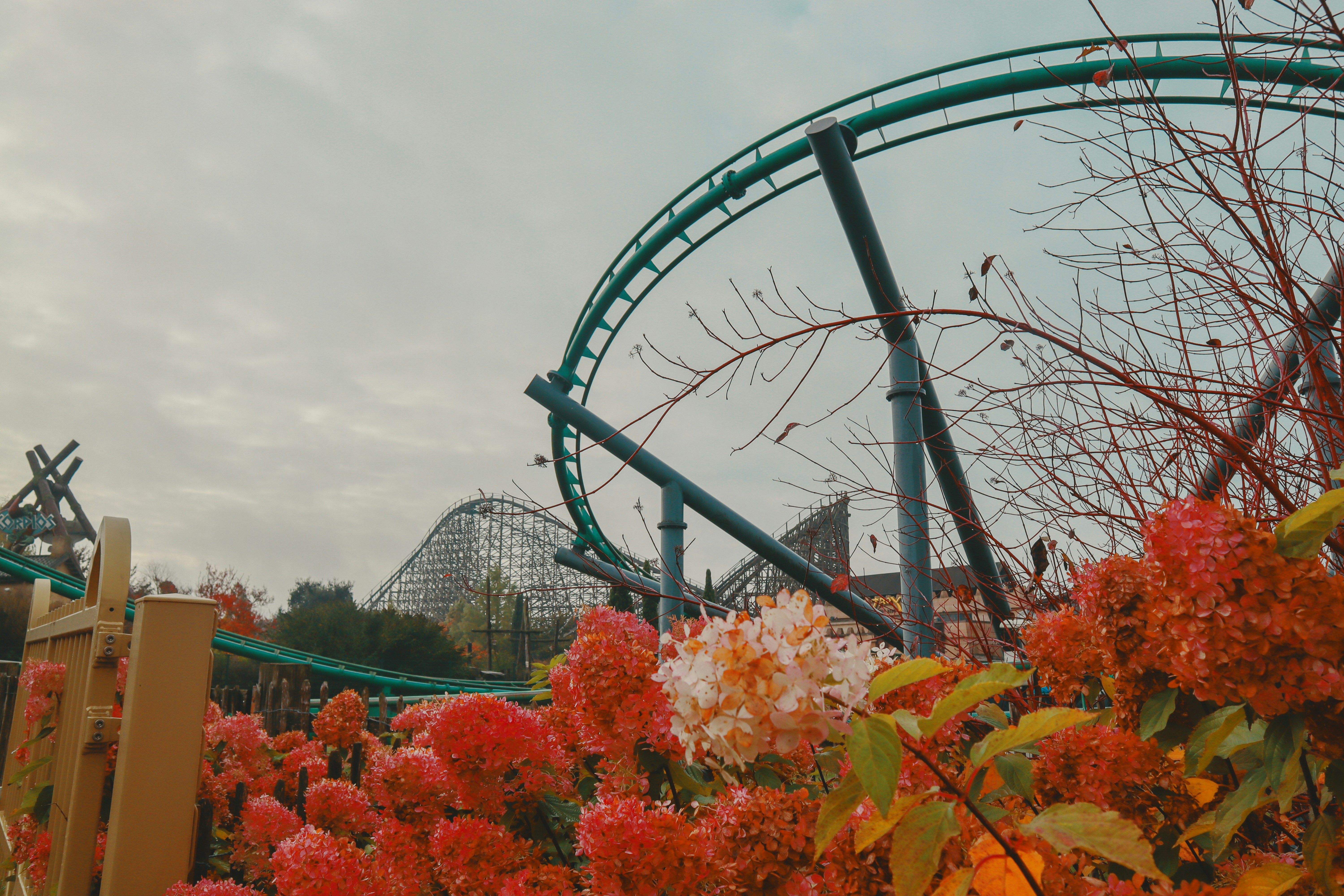 Afbeelding van Sevenum