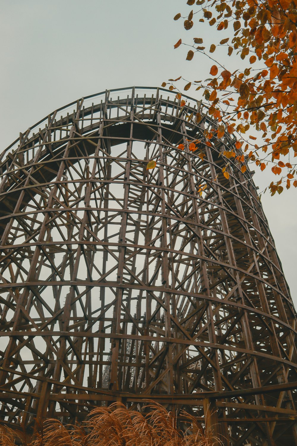 a tall metal structure sitting next to a tree