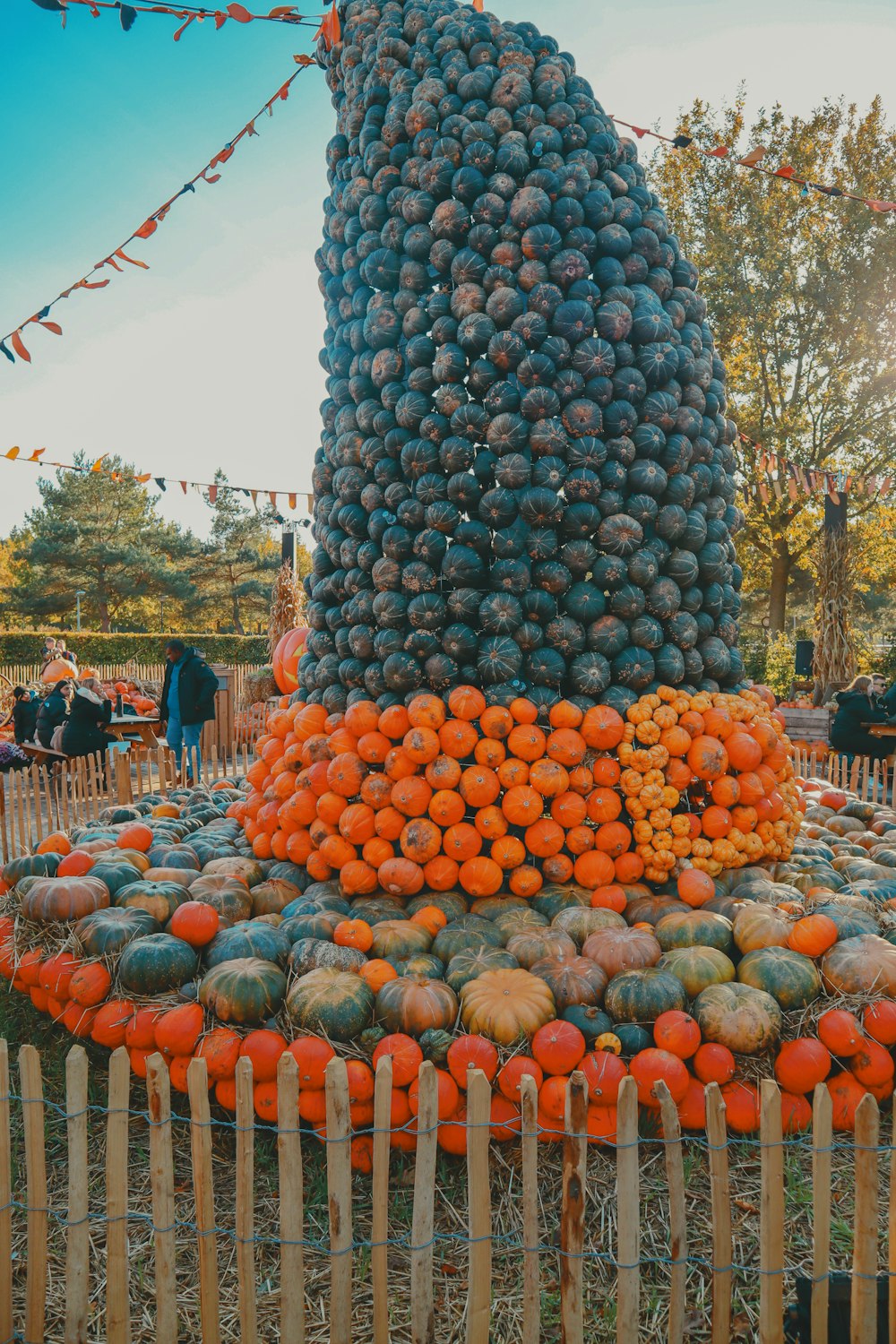 ein großer Haufen Obst auf einem Holzzaun