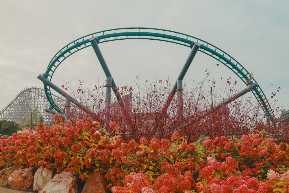 a roller coaster in the middle of a field of flowers