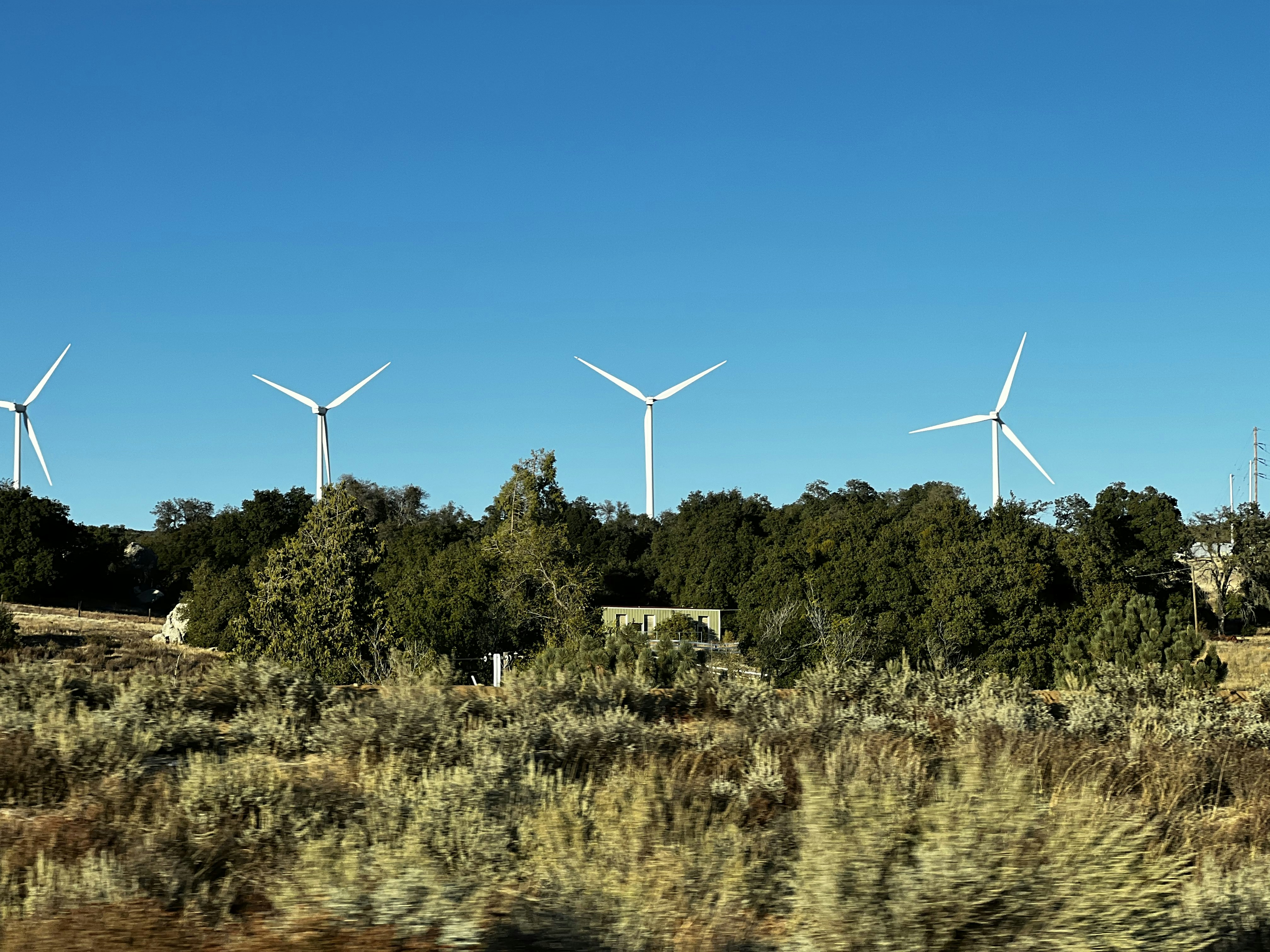 a row of wind turbines in a field