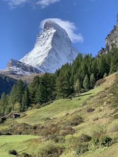a mountain covered in snow and surrounded by trees