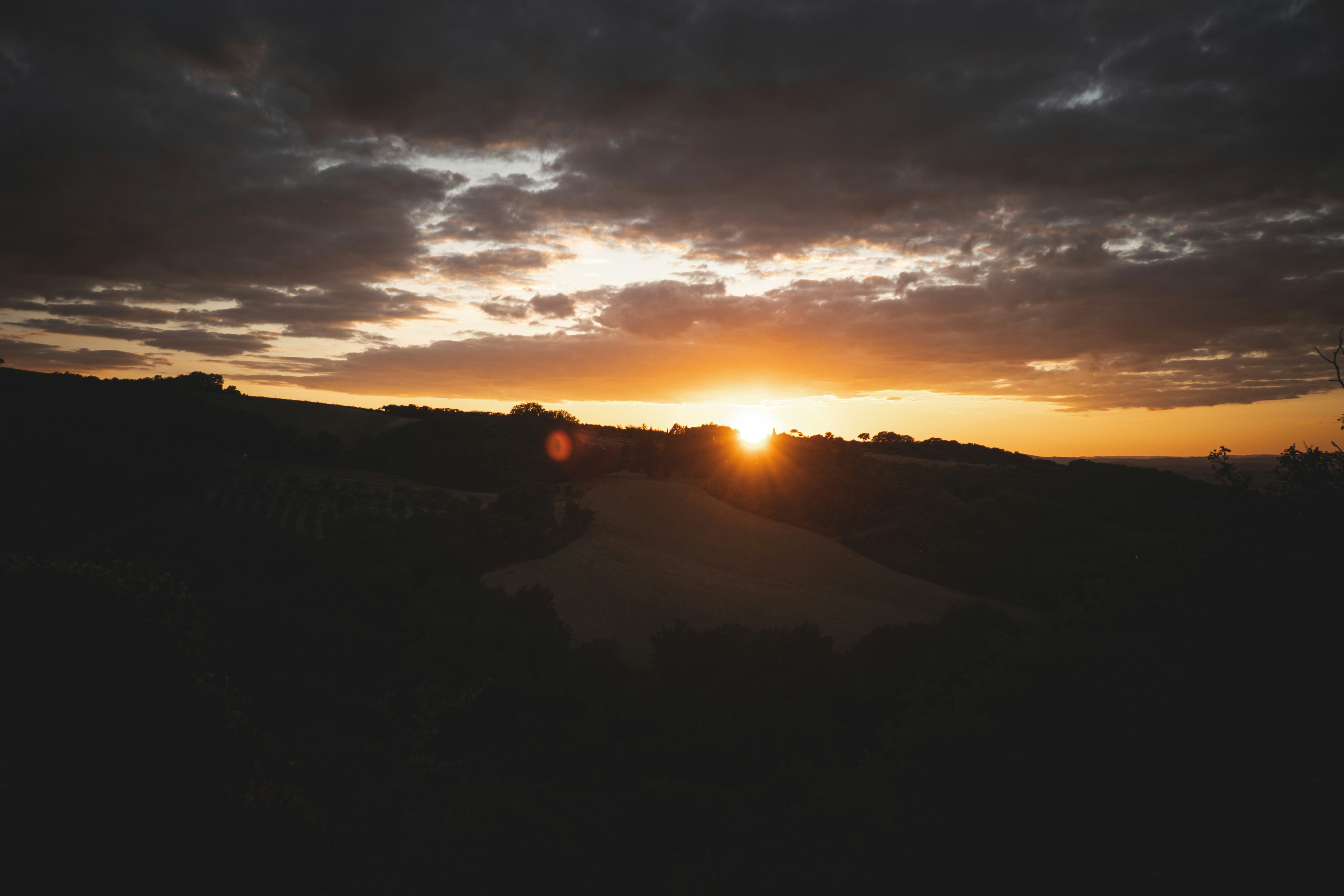 Photo by francesco_ungaro