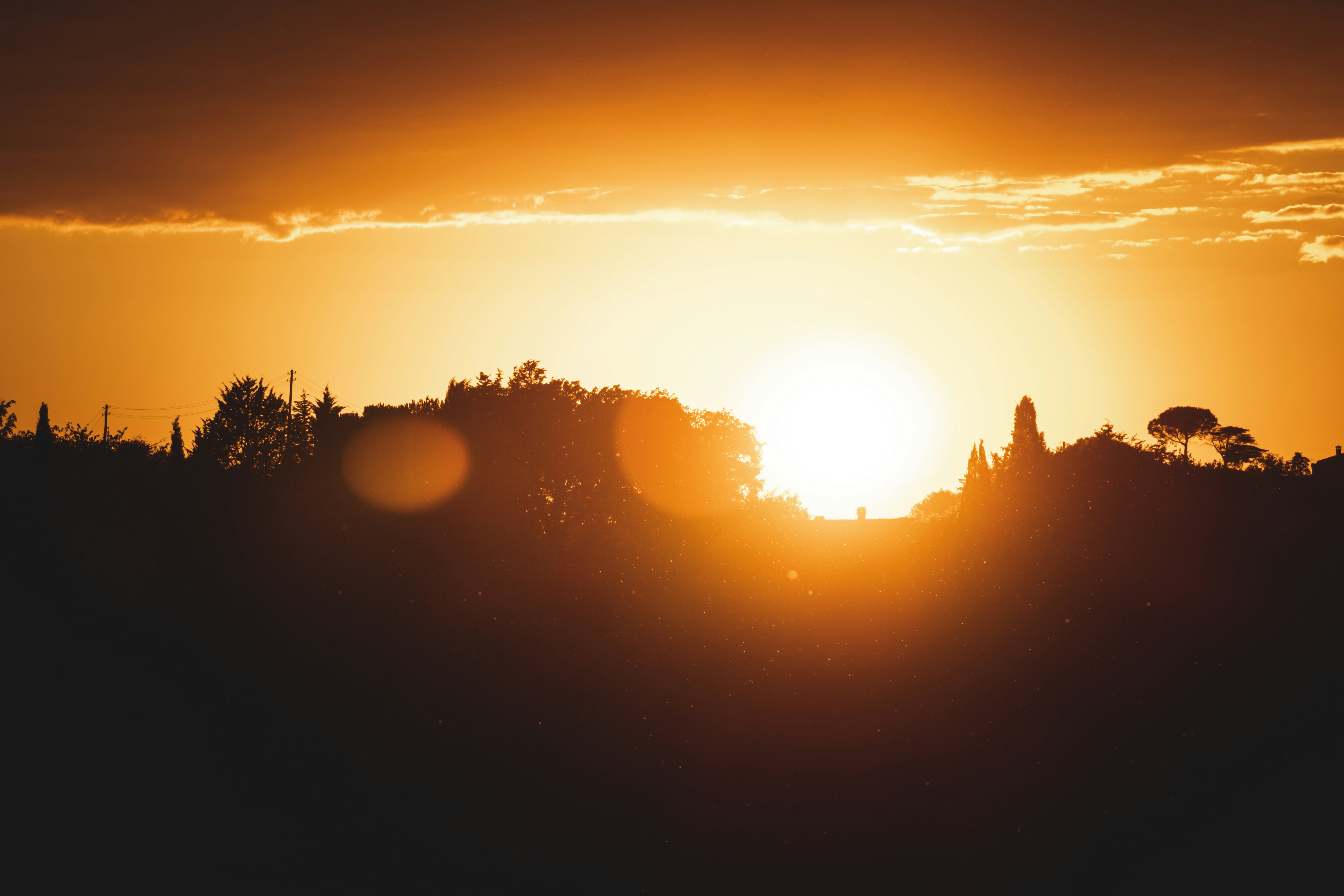 Photo by francesco_ungaro