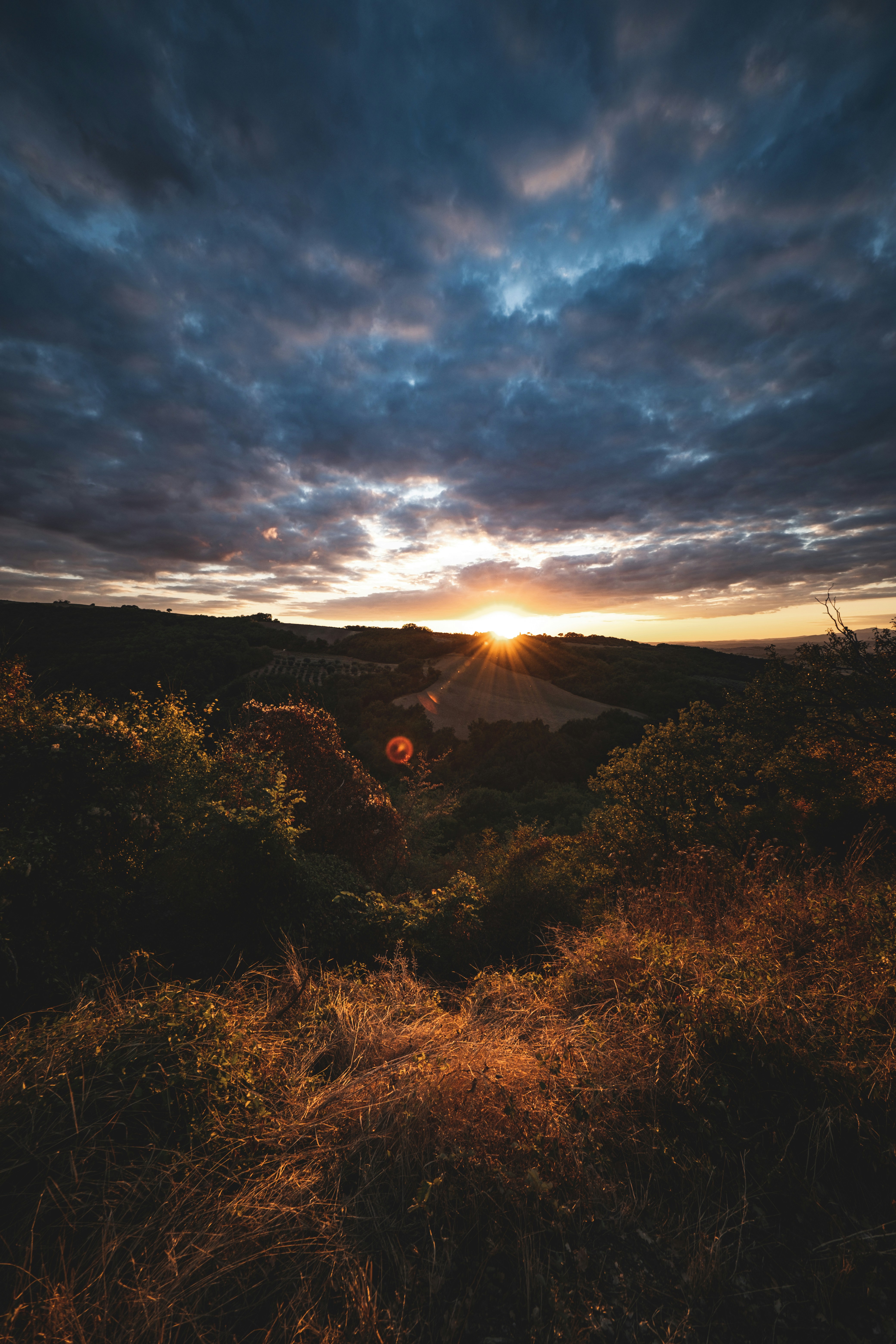 Photo by francesco_ungaro