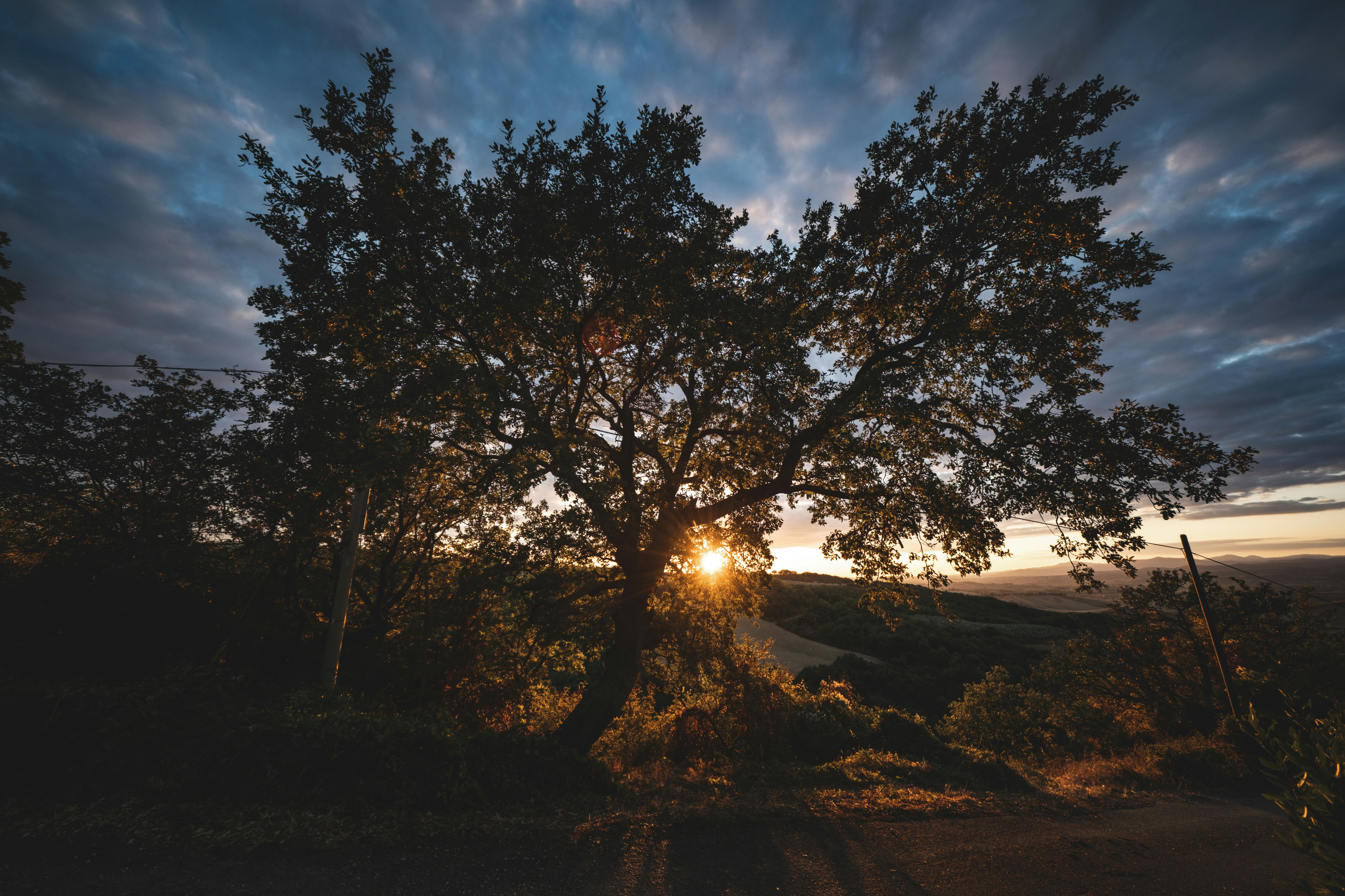 Photo by francesco_ungaro