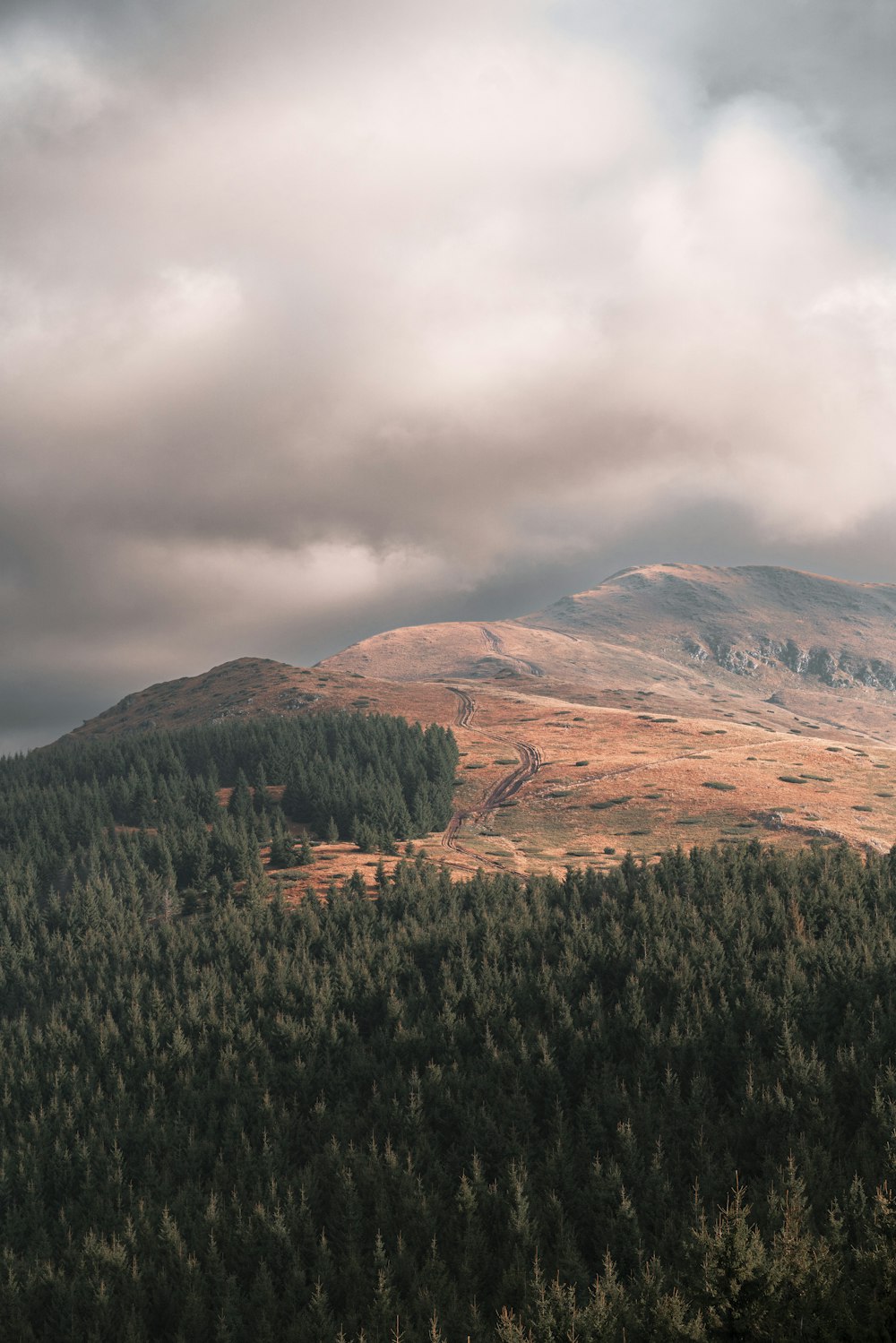 a view of a mountain with a forest in the foreground