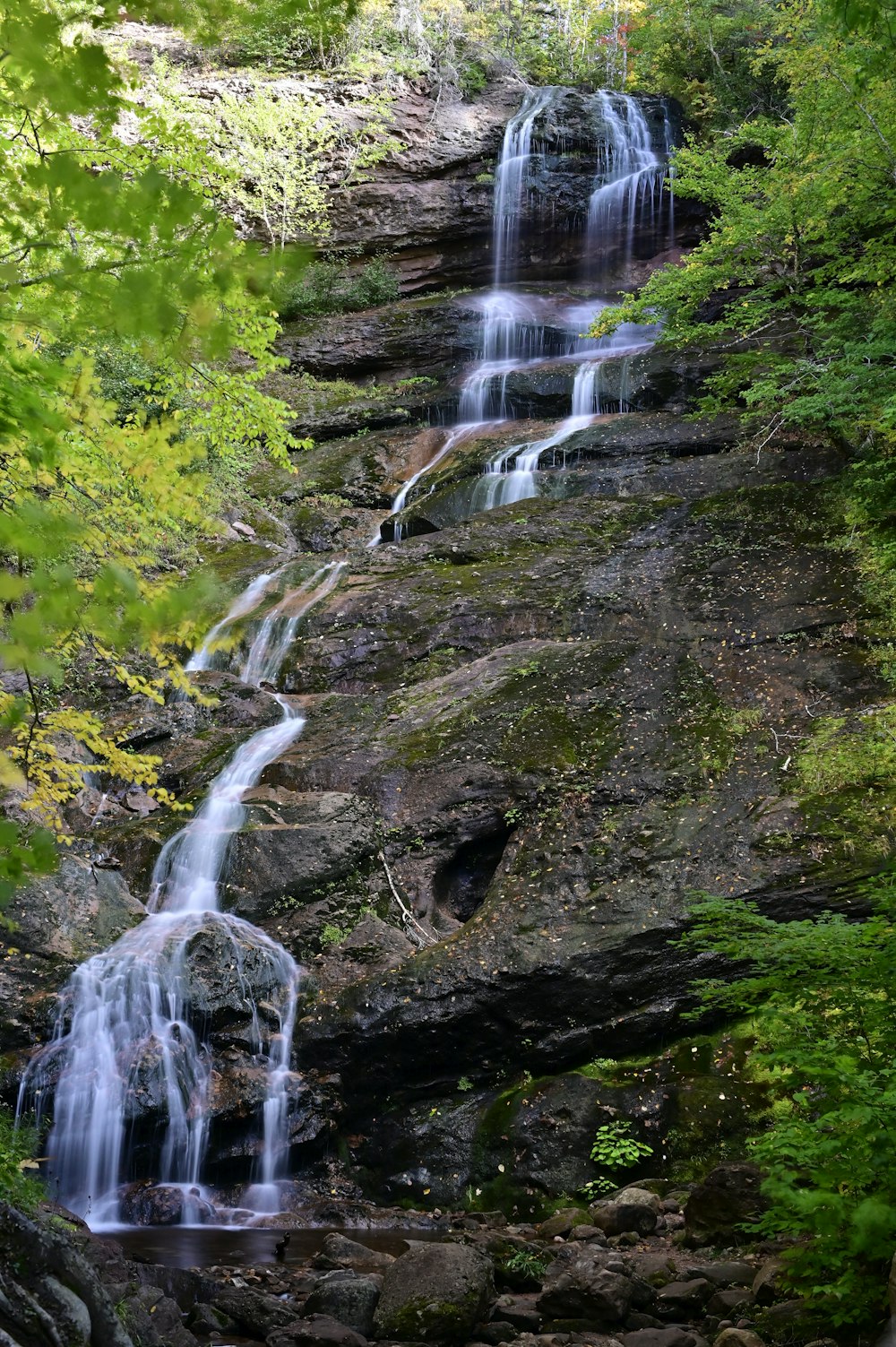 a waterfall in the middle of a forest