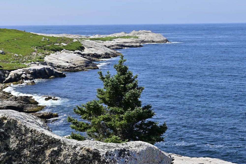 a view of a body of water from a cliff