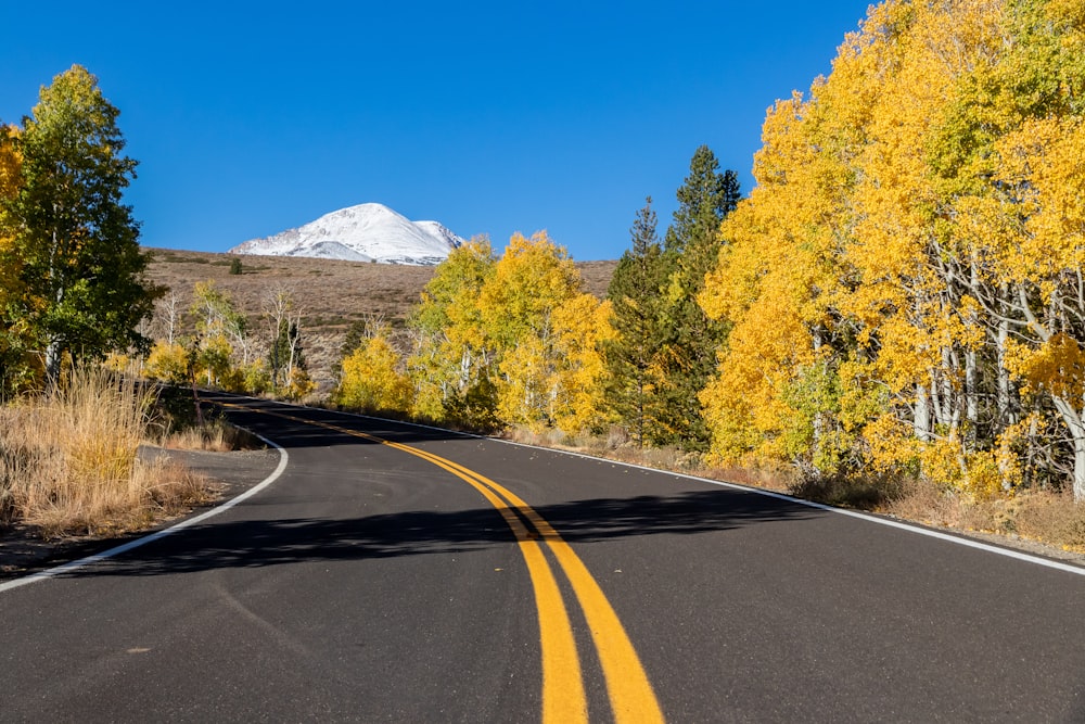 a road with yellow trees and a mountain in the background