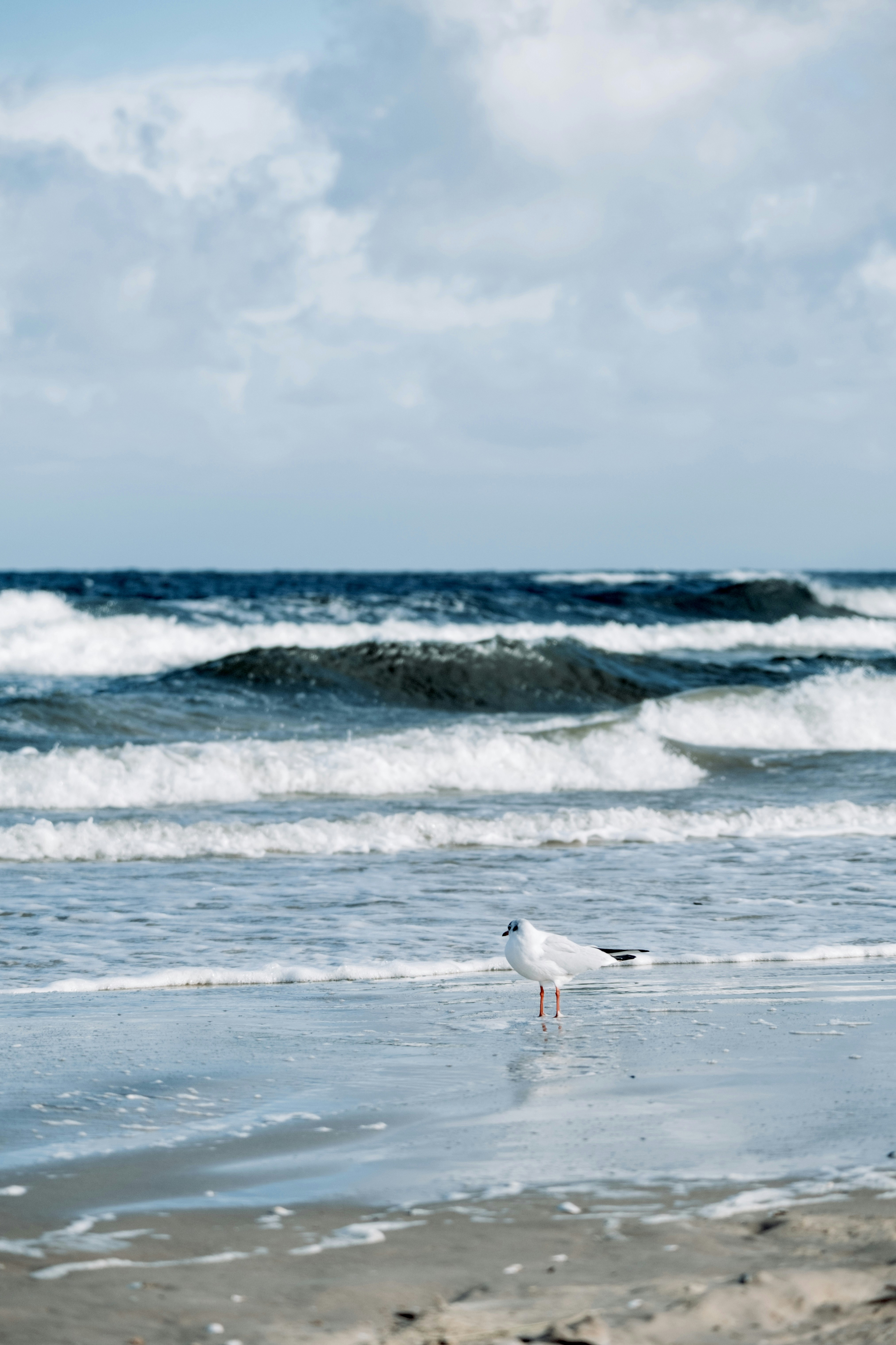 Photo by tetianapadurets