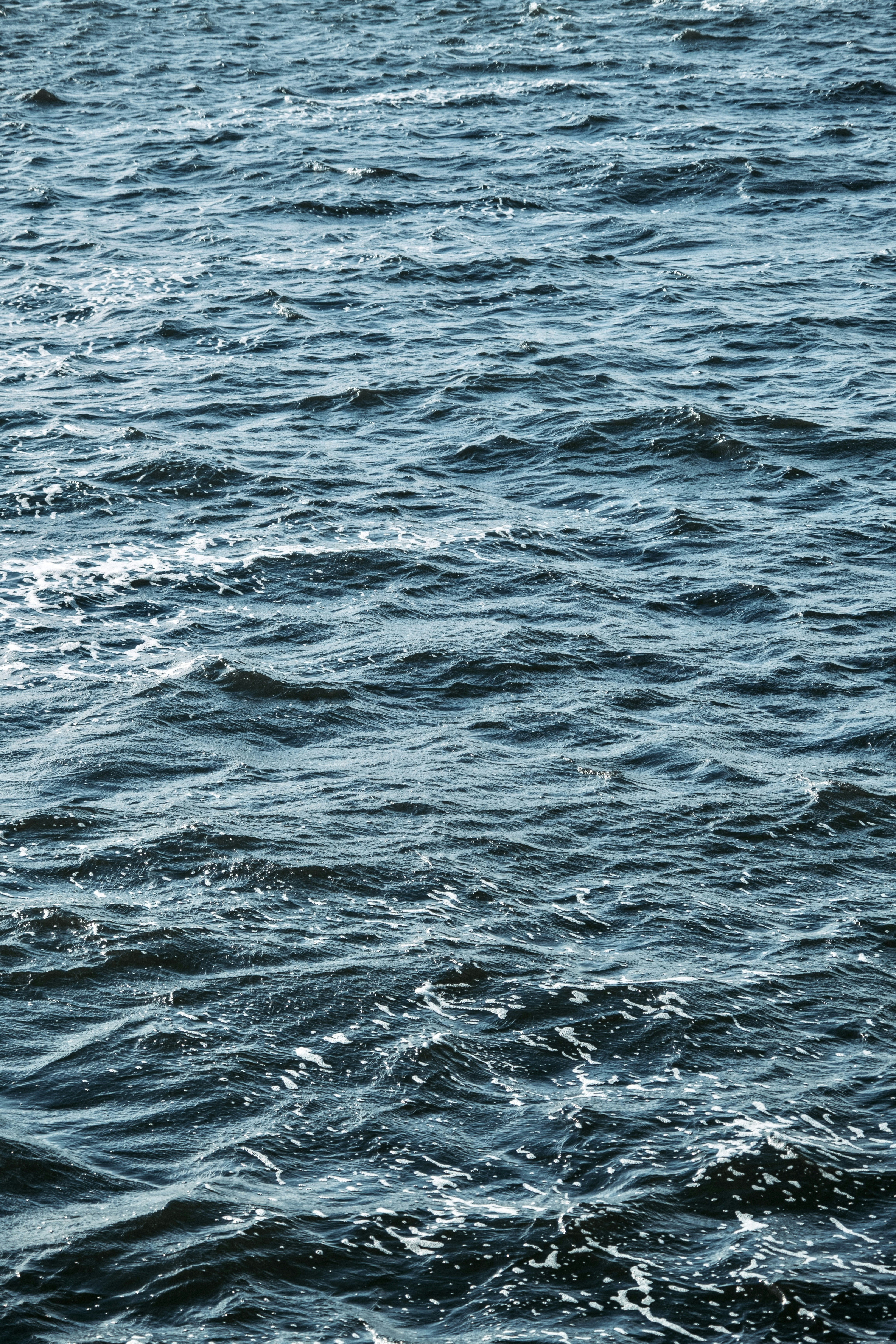 Photo by tetianapadurets