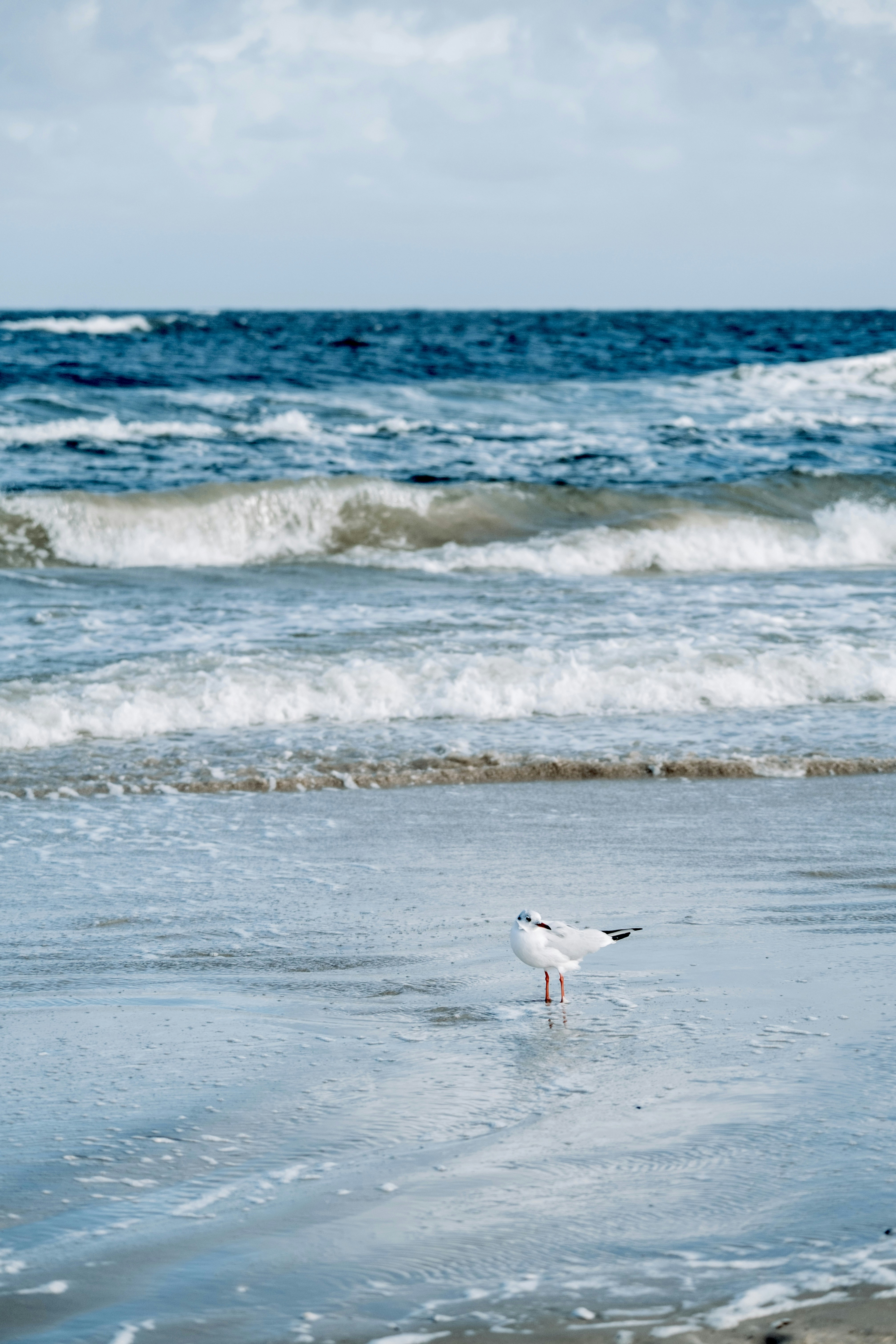 Photo by tetianapadurets