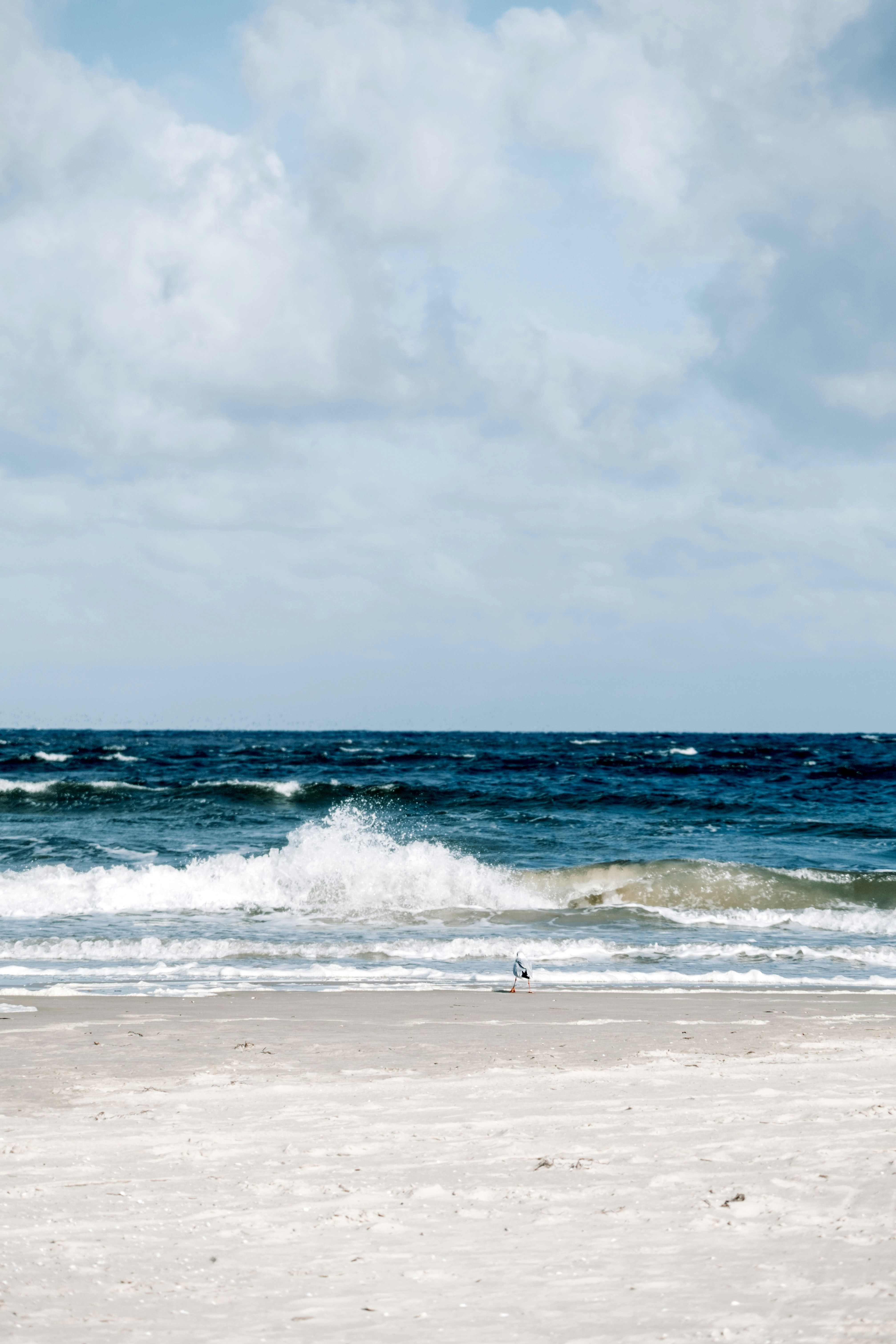 Photo by tetianapadurets