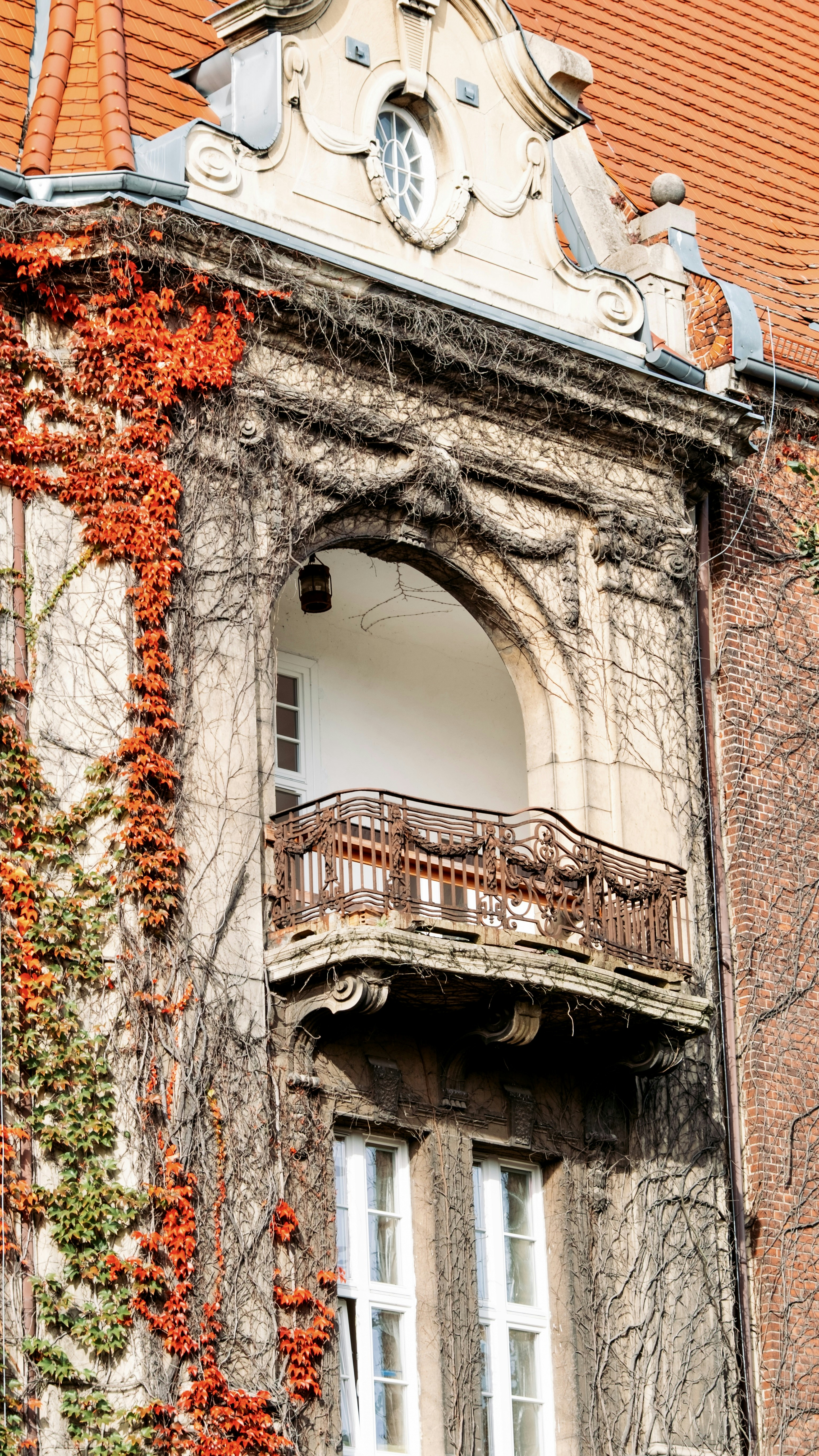 Photo by tetianapadurets