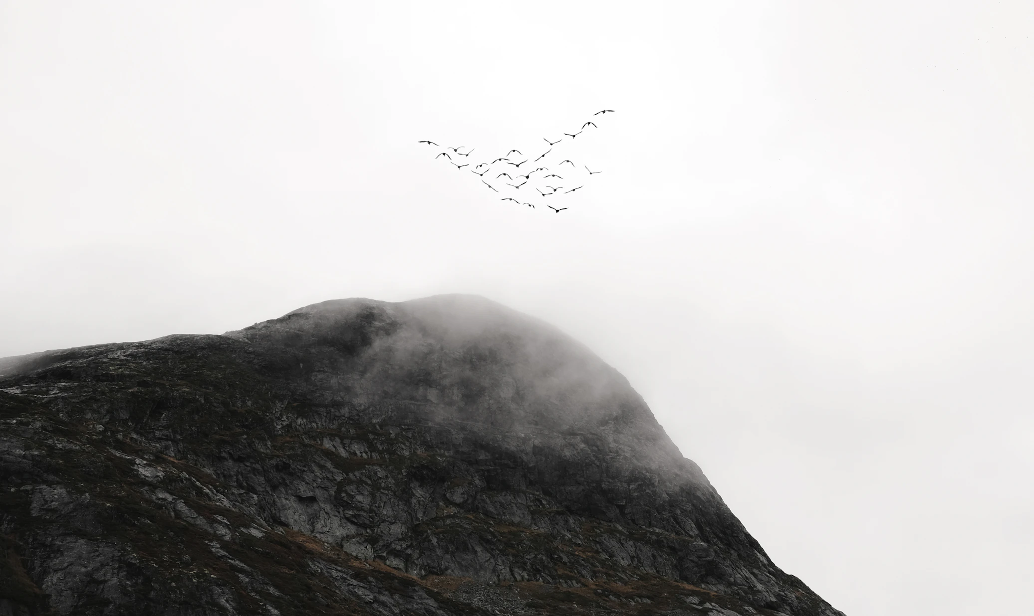5 Essential Cloud Migration Strategies for Enterprise Success
