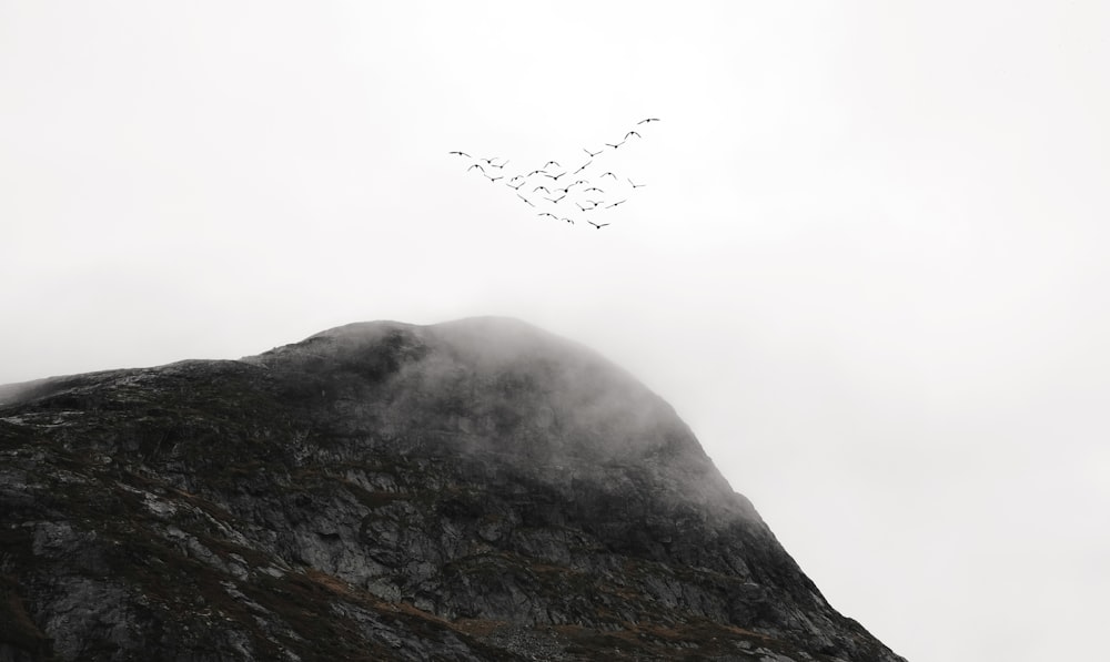 Una bandada de pájaros volando sobre la cima de una montaña