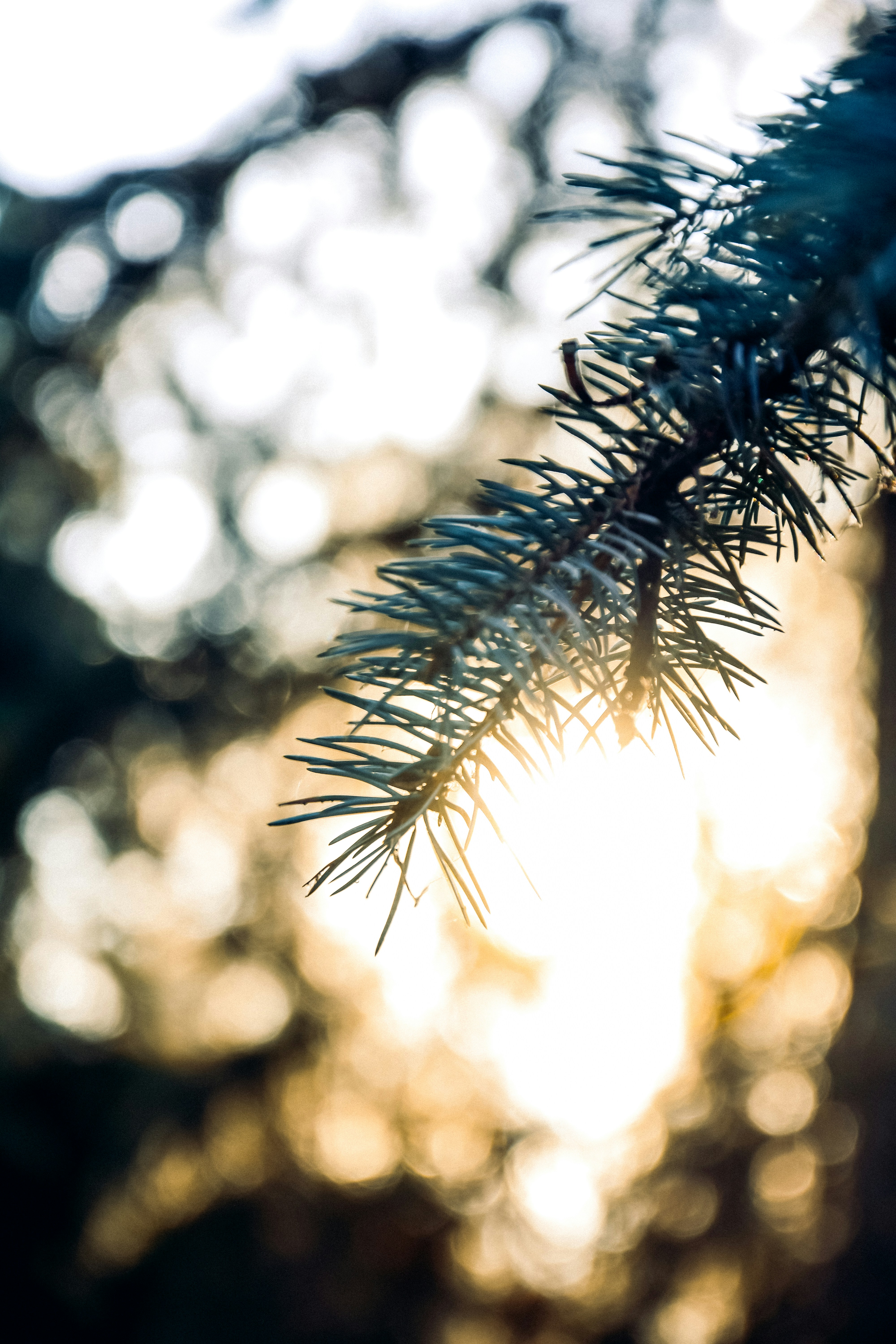 Photo by impermanent