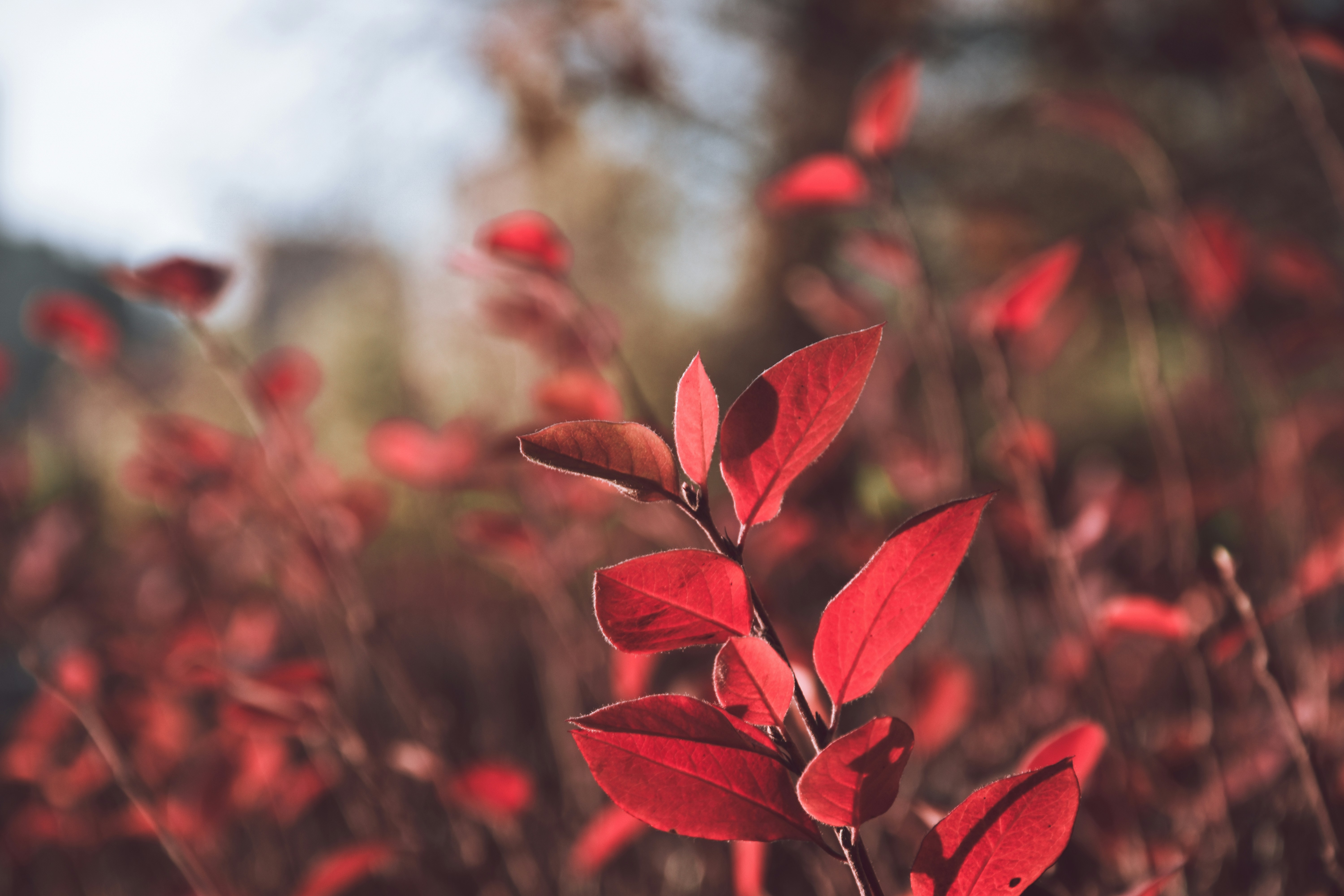 Photo by impermanent